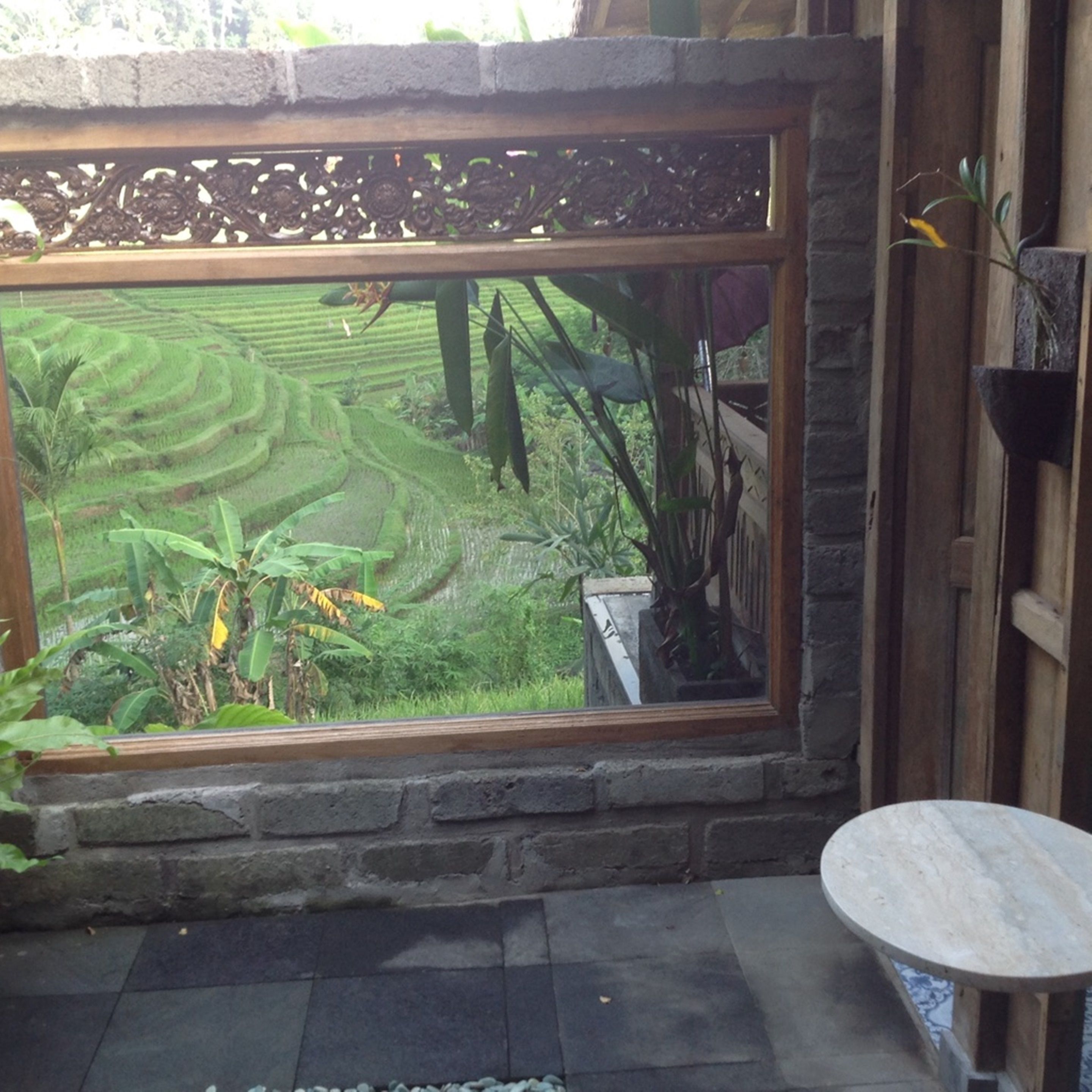 Bali Lush