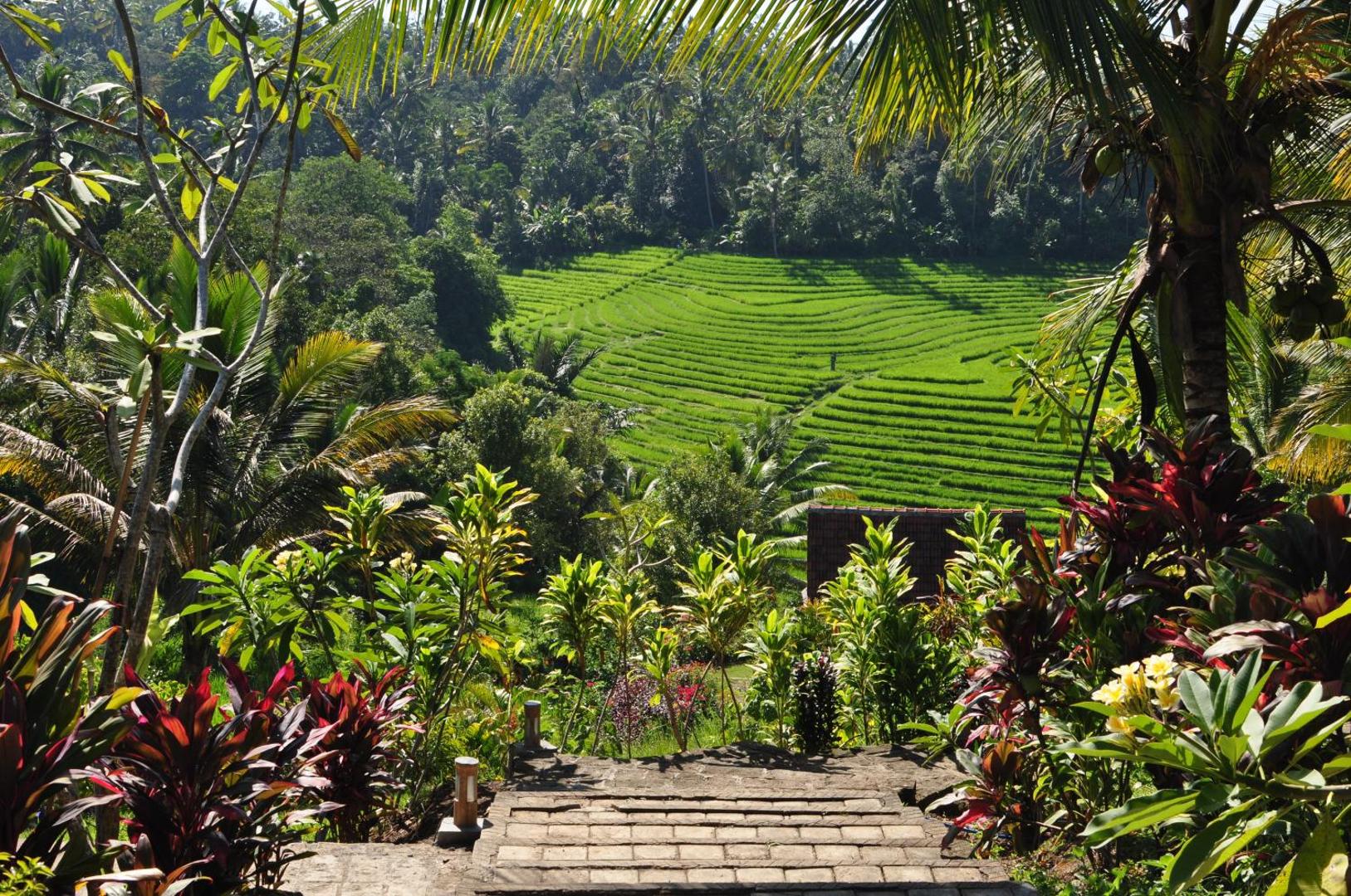 Bali Lush