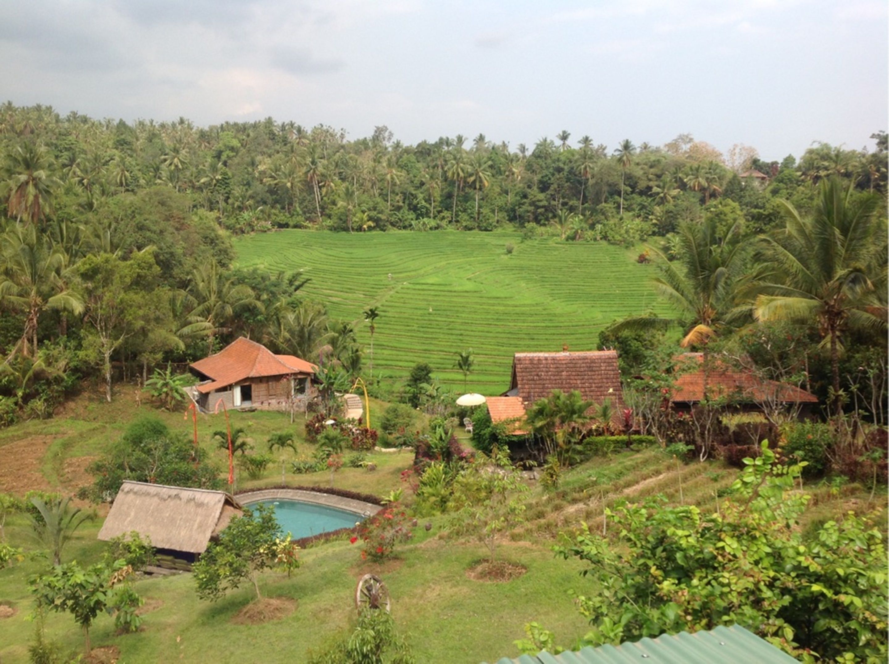 Bali Lush