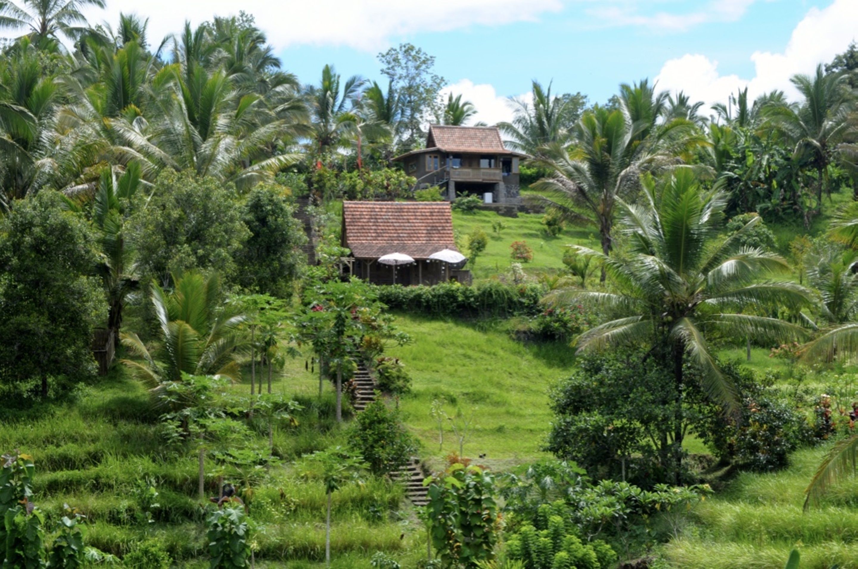 Bali Lush