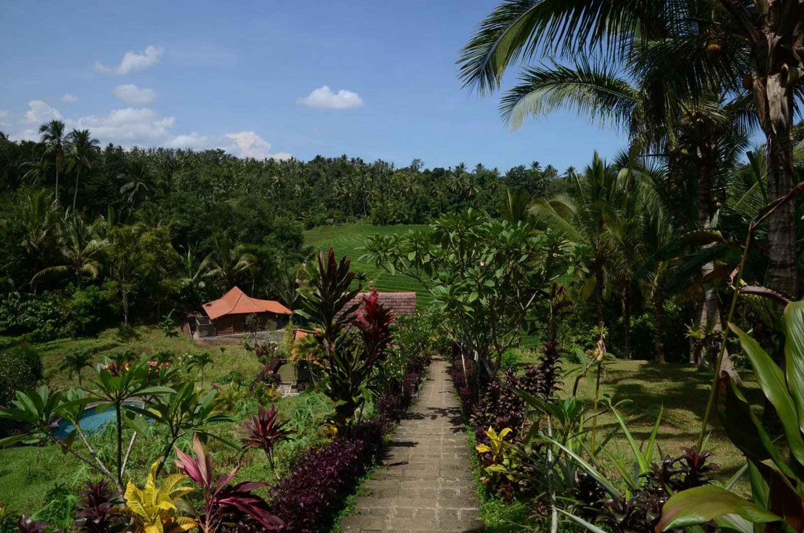 Bali Lush
