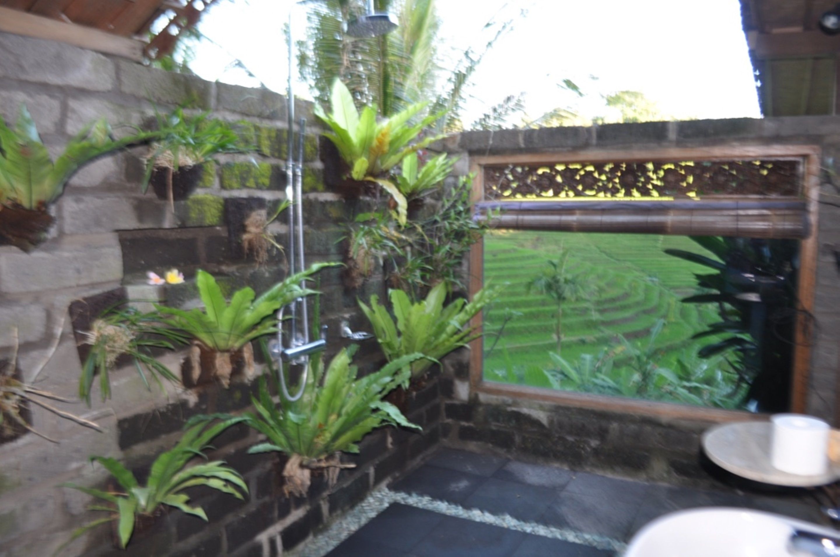 Bali Lush