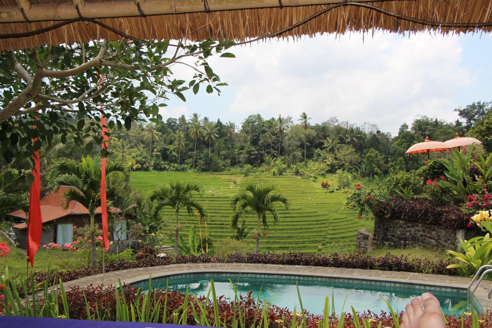 Bali Lush