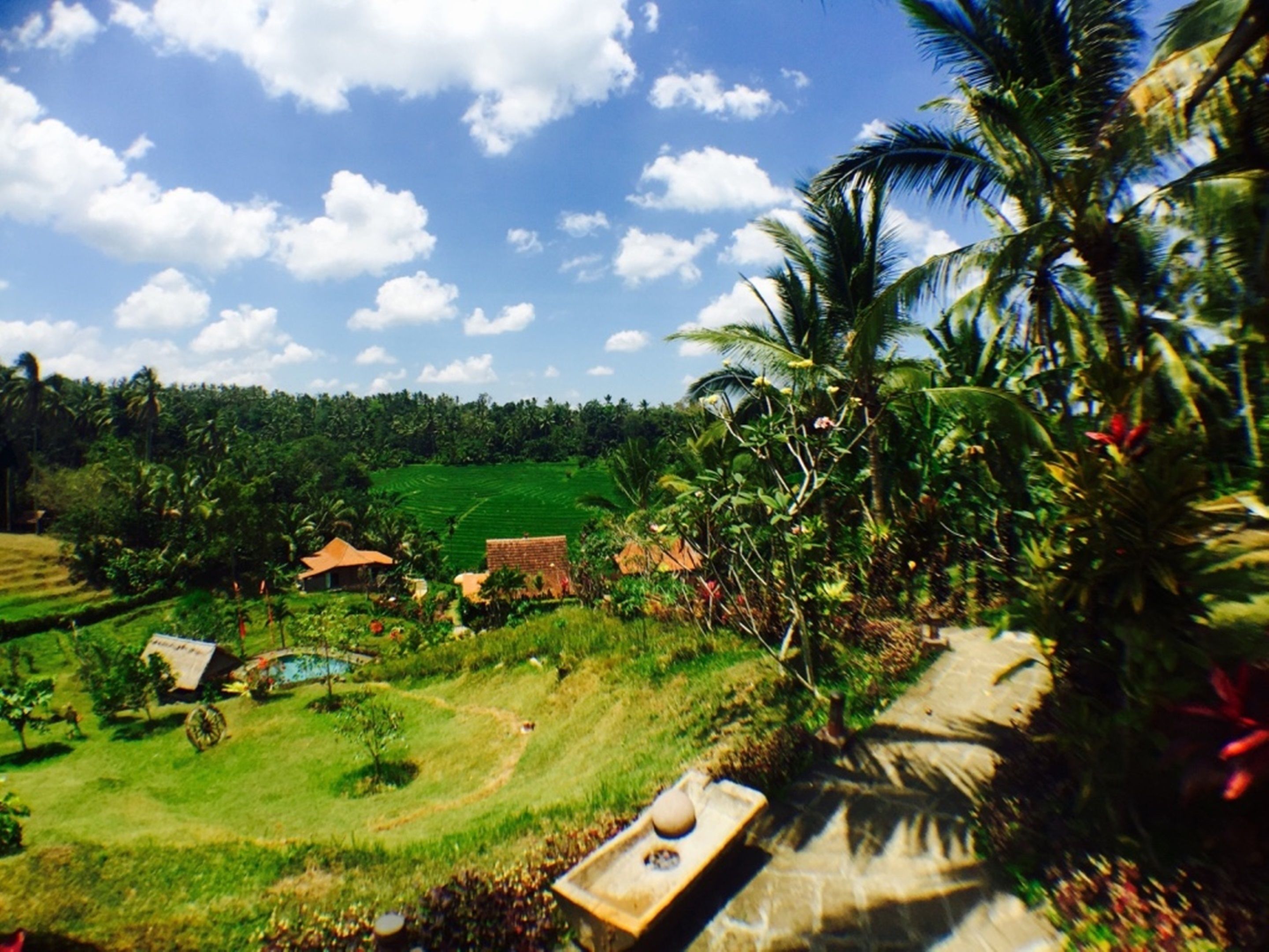 Bali Lush