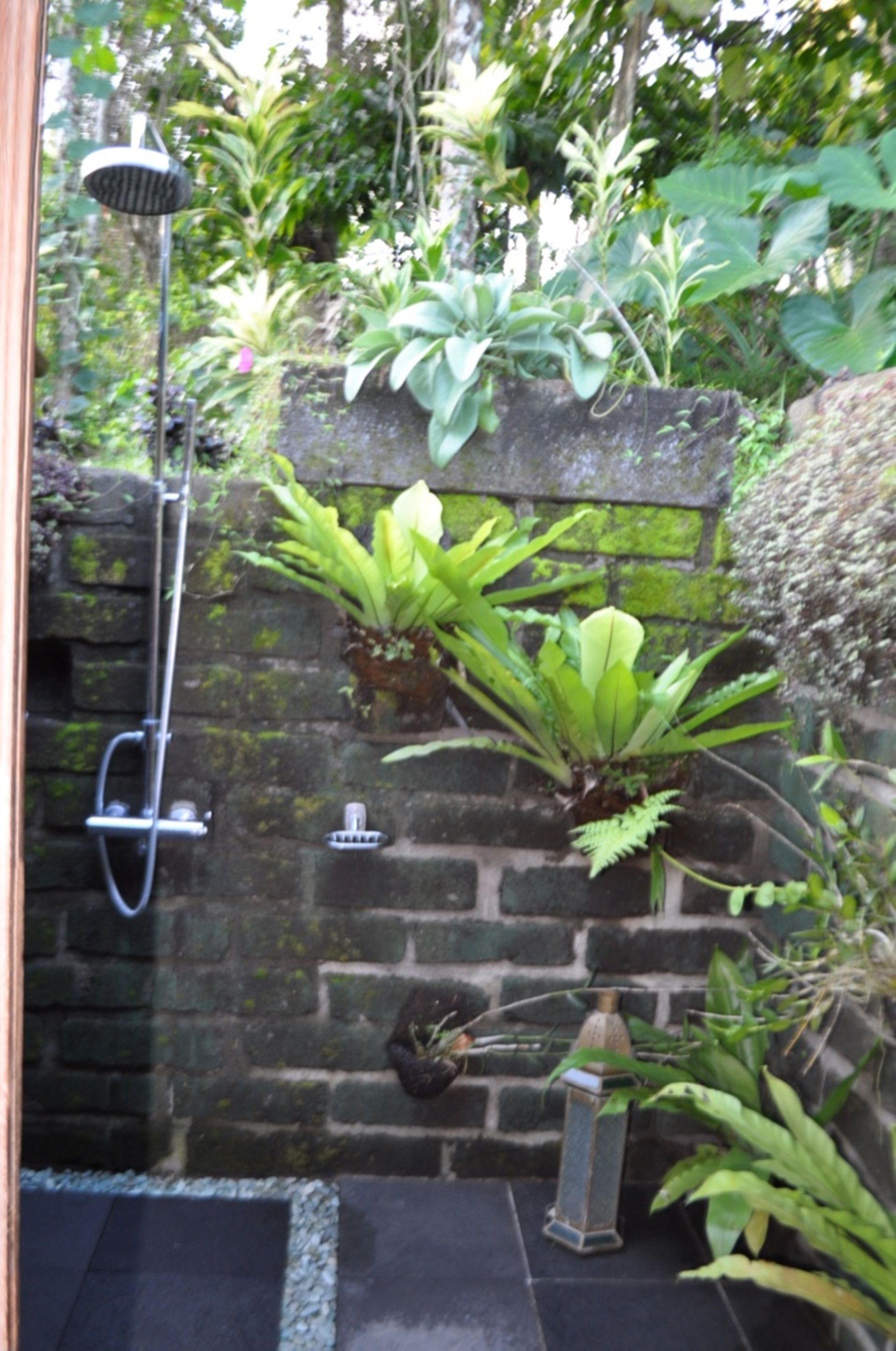 Bali Lush