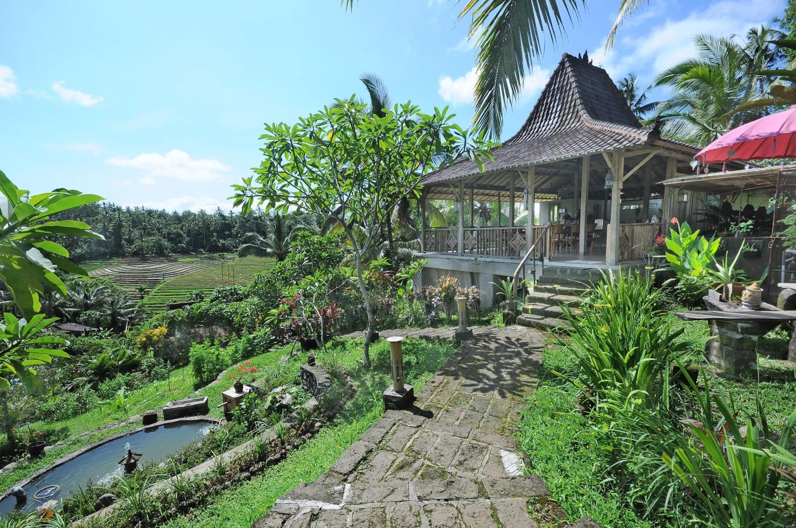 Bali Lush