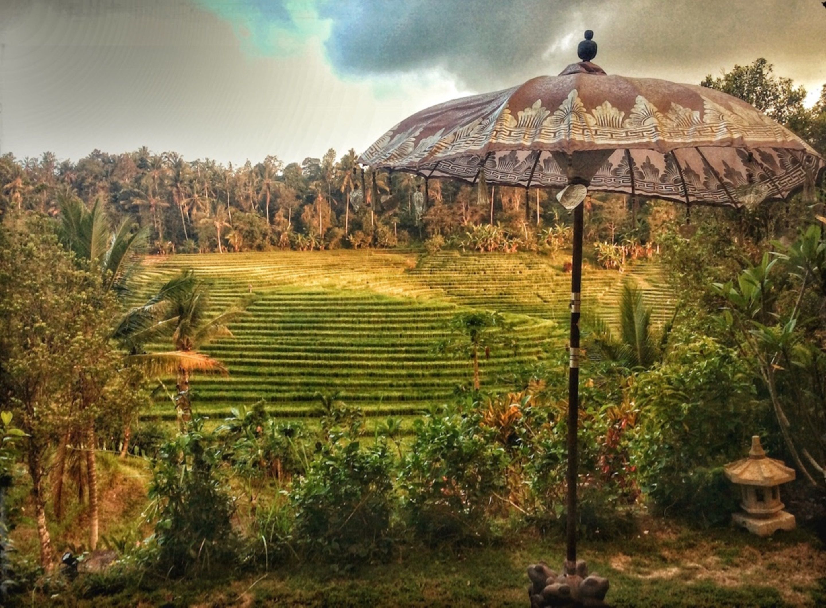 Bali Lush