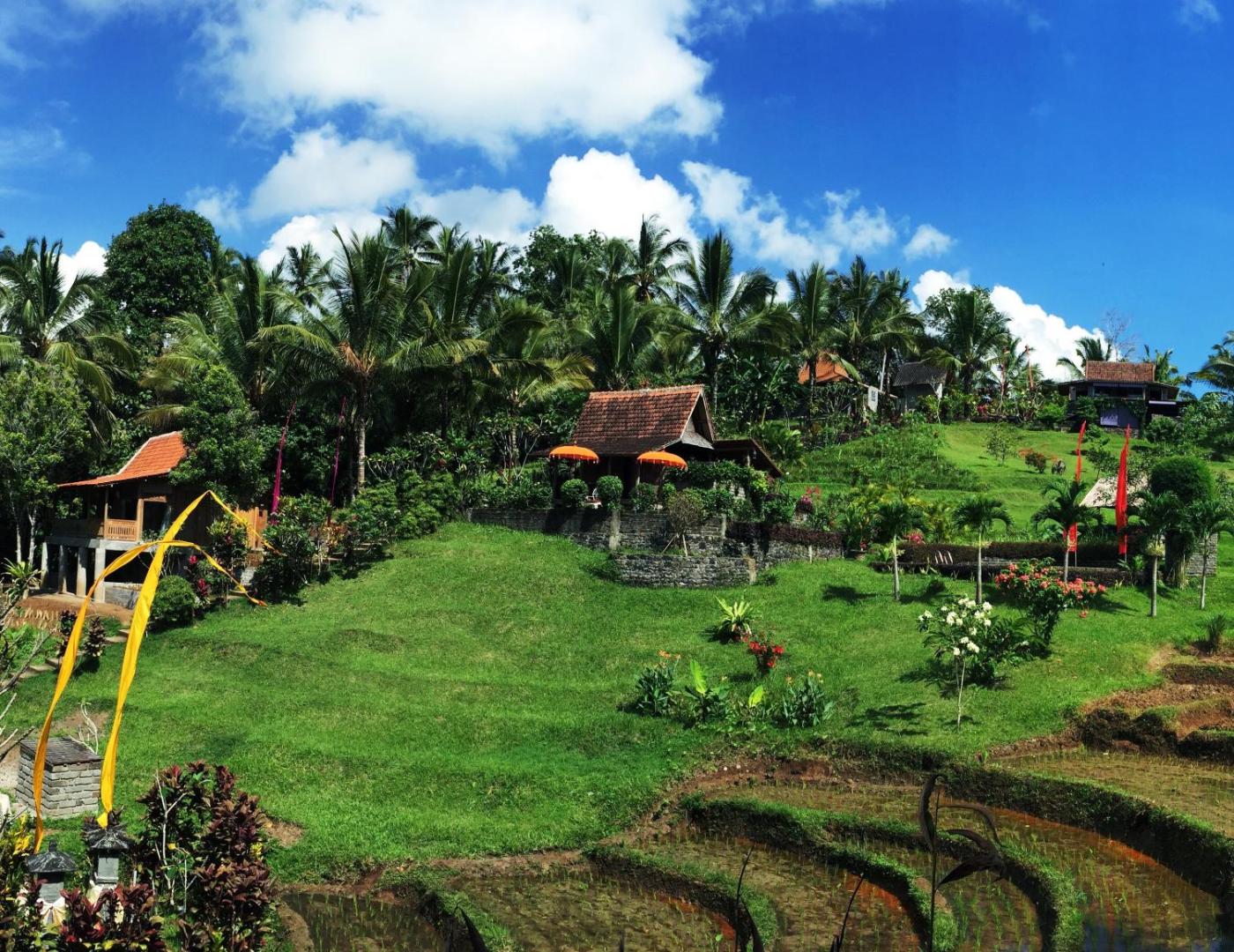 Bali Lush