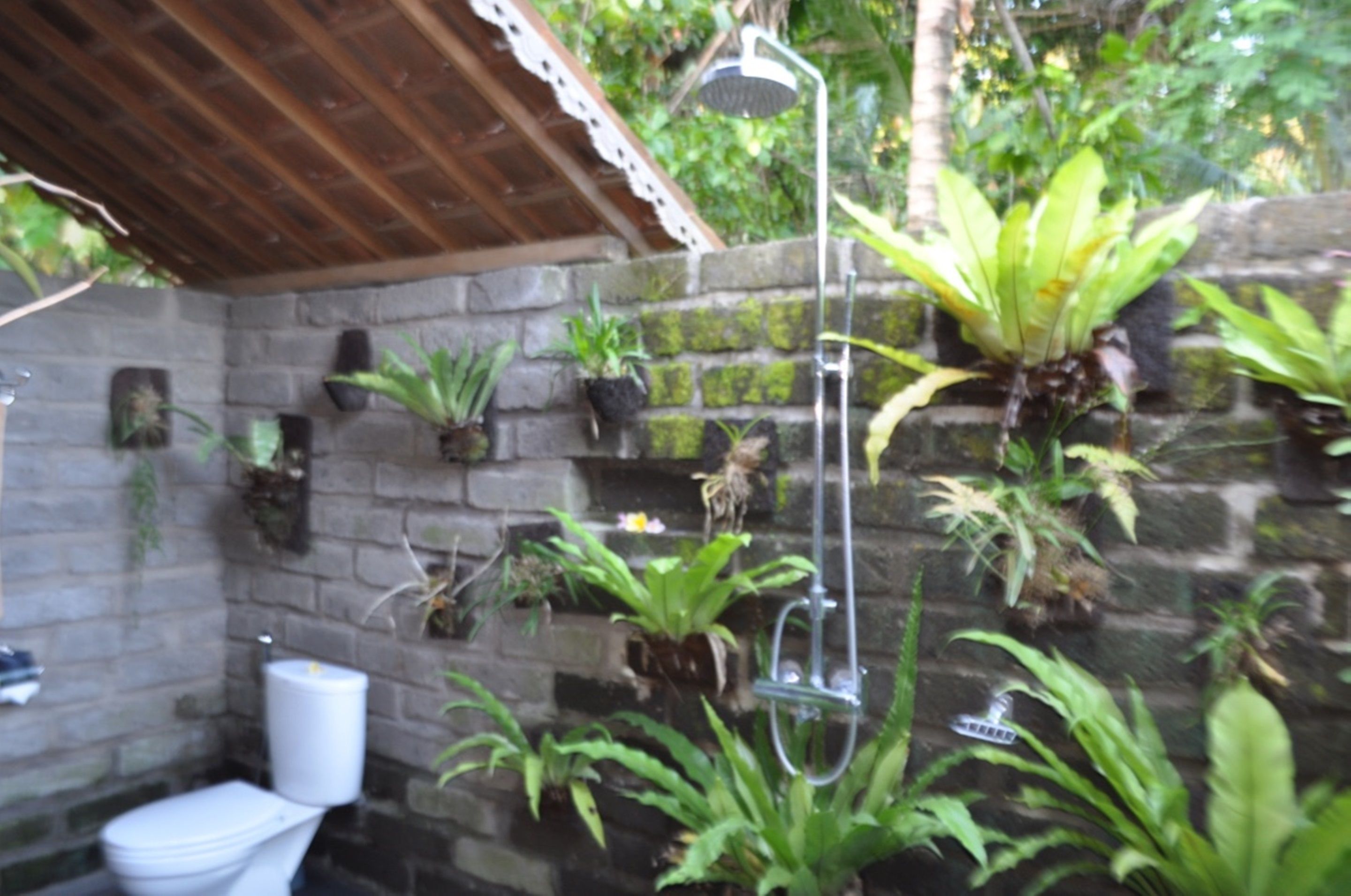 Bali Lush