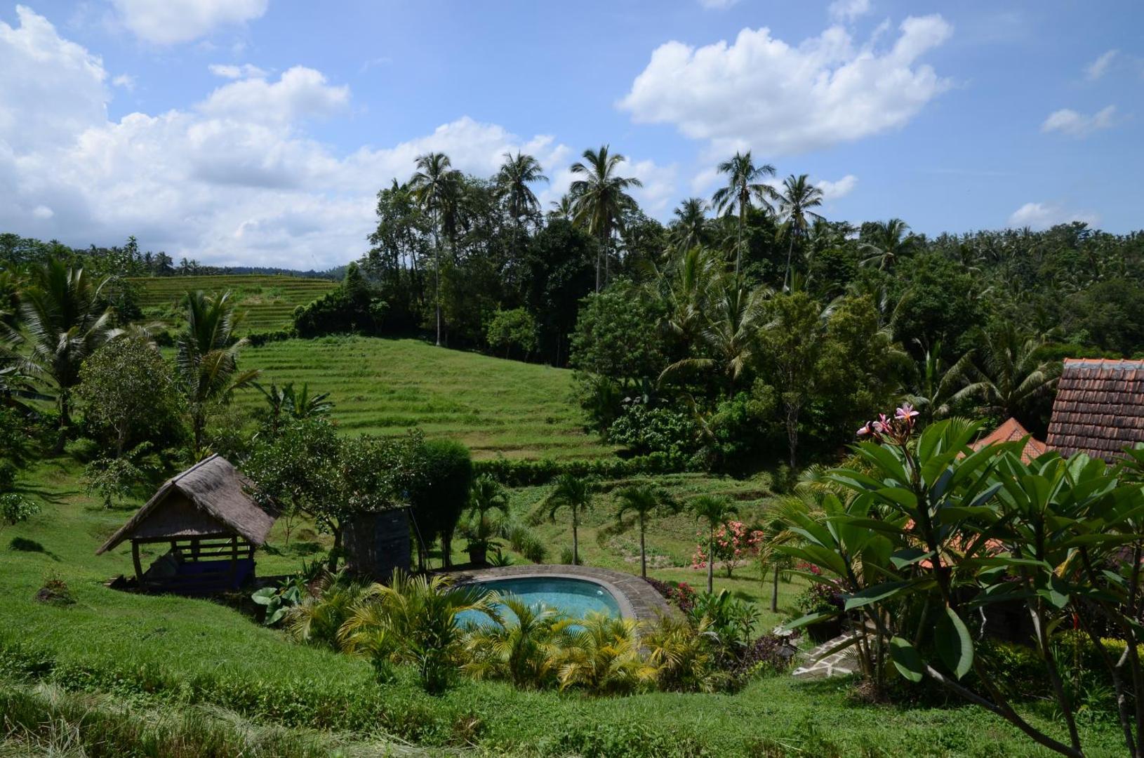 Bali Lush