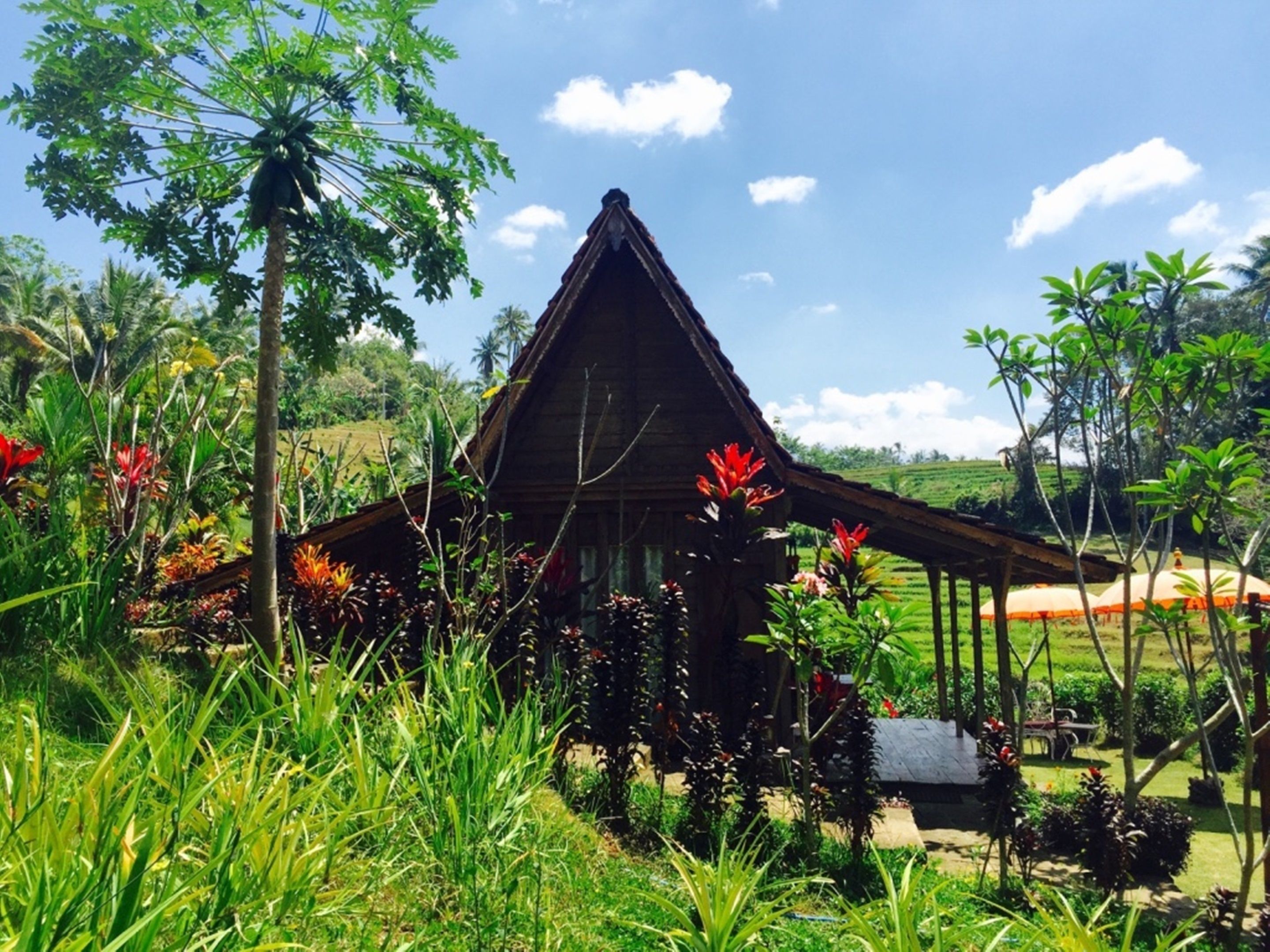 Bali Lush