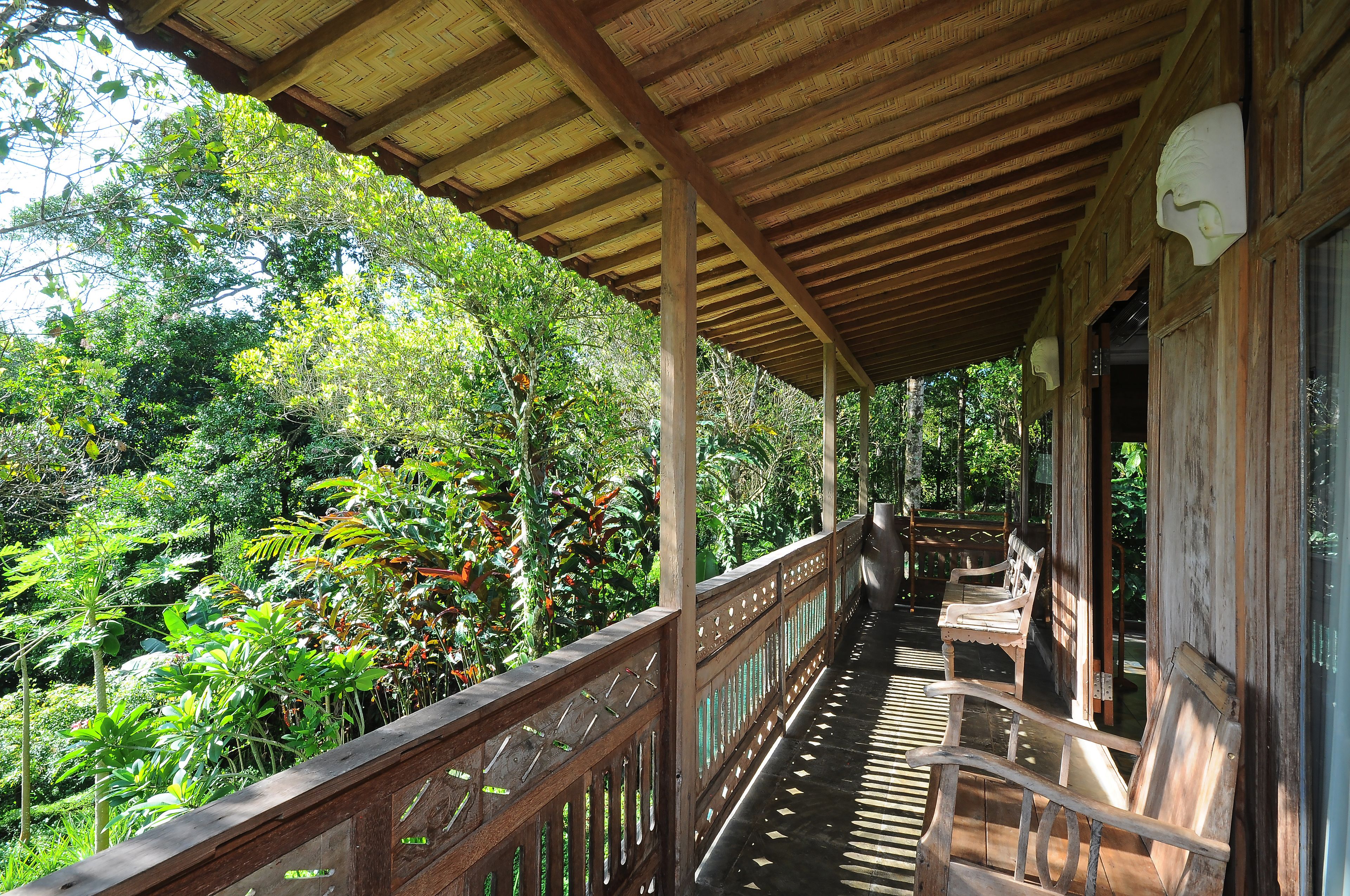 Bali Lush