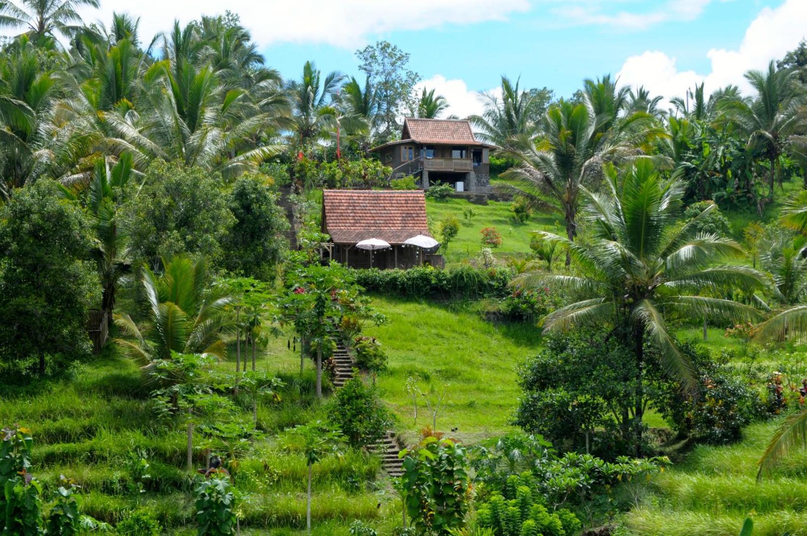Bali Lush