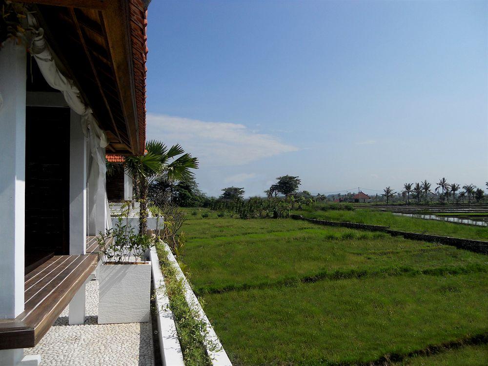 D'Sawah Villas