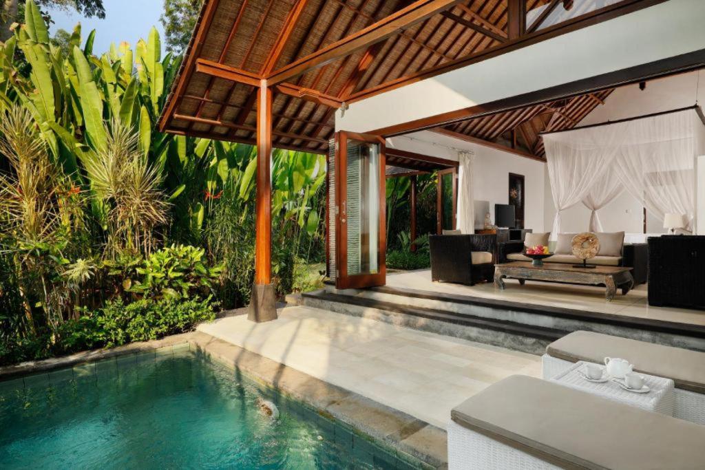 OMECURE Kaba Kaba by Nakula