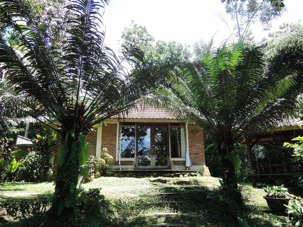 Prana Dewi Mountain Resort