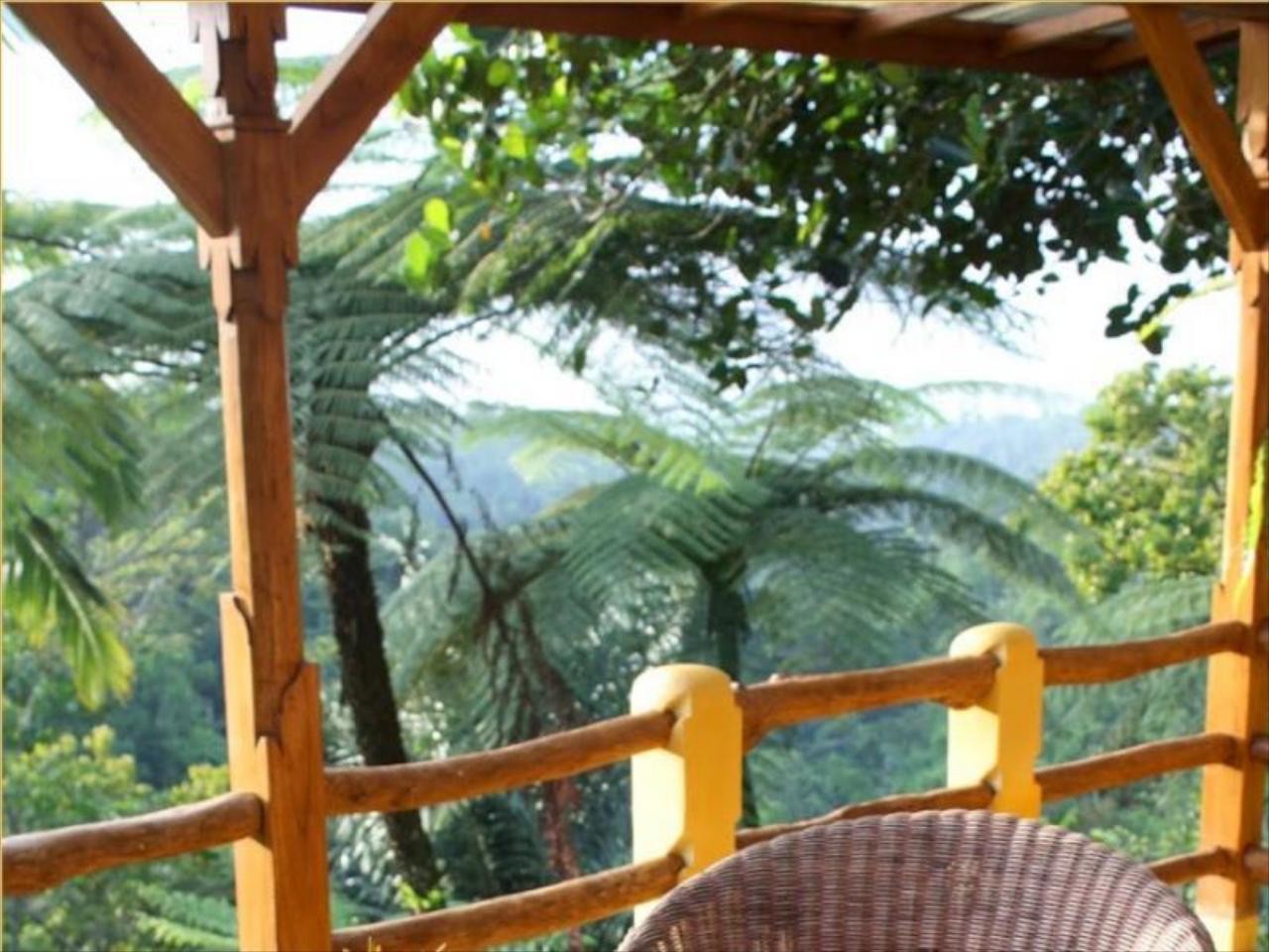 Sarinbuana Eco Lodge