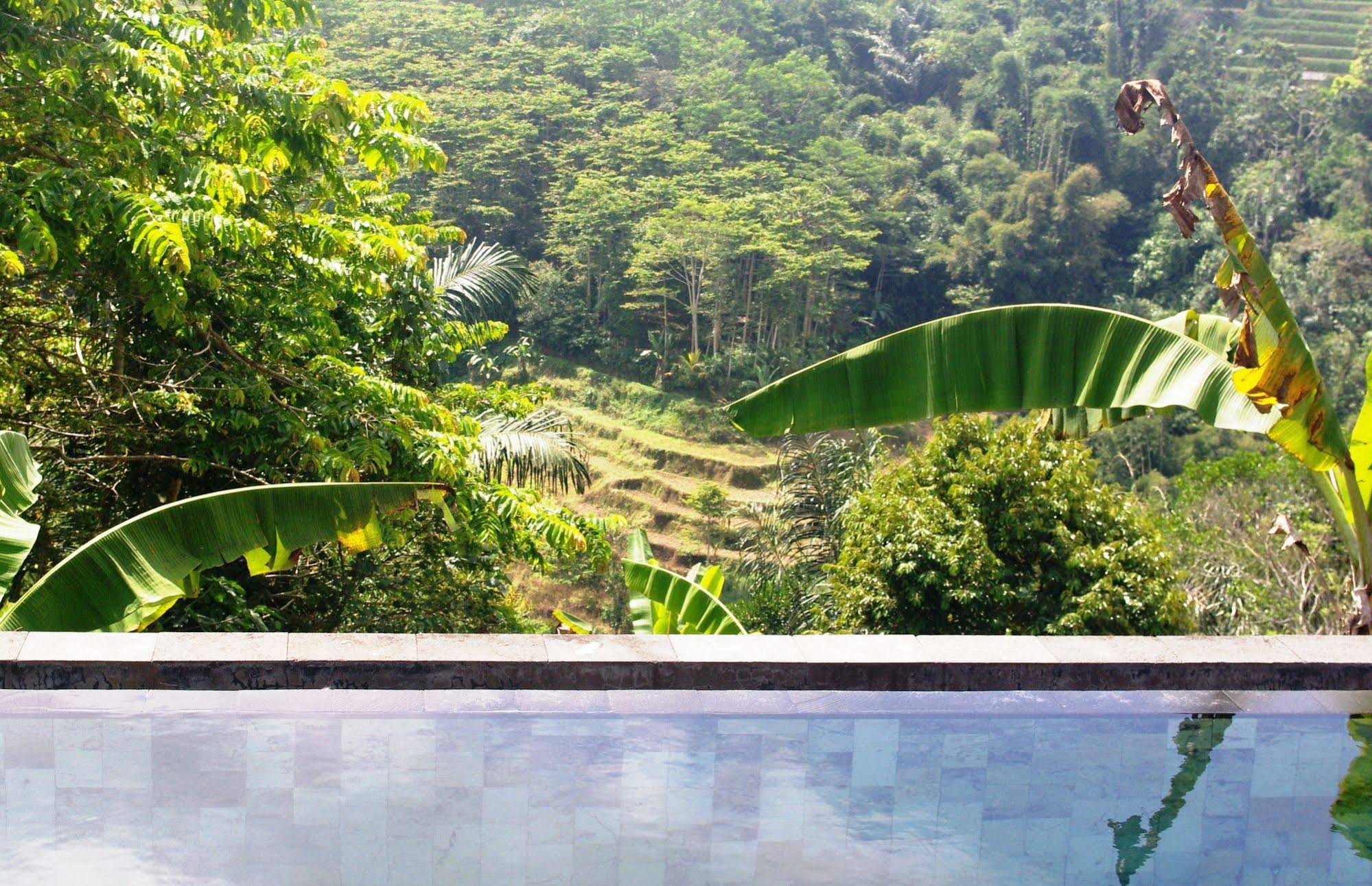 Shangrilah Villas