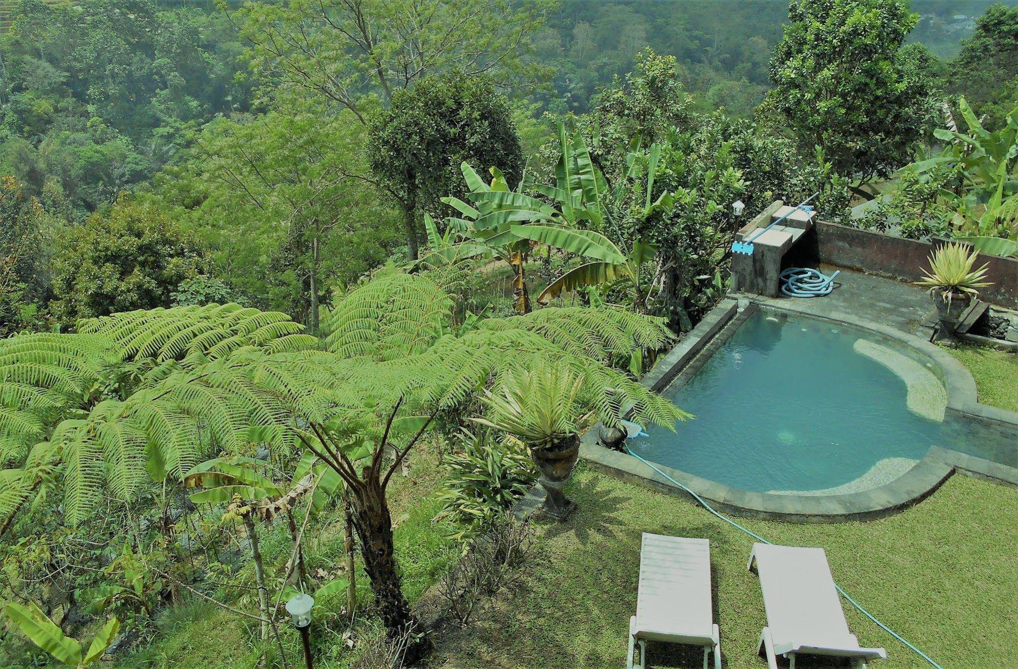 Shangrilah Villas