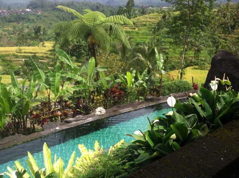 Soka Jatiluwih Villas