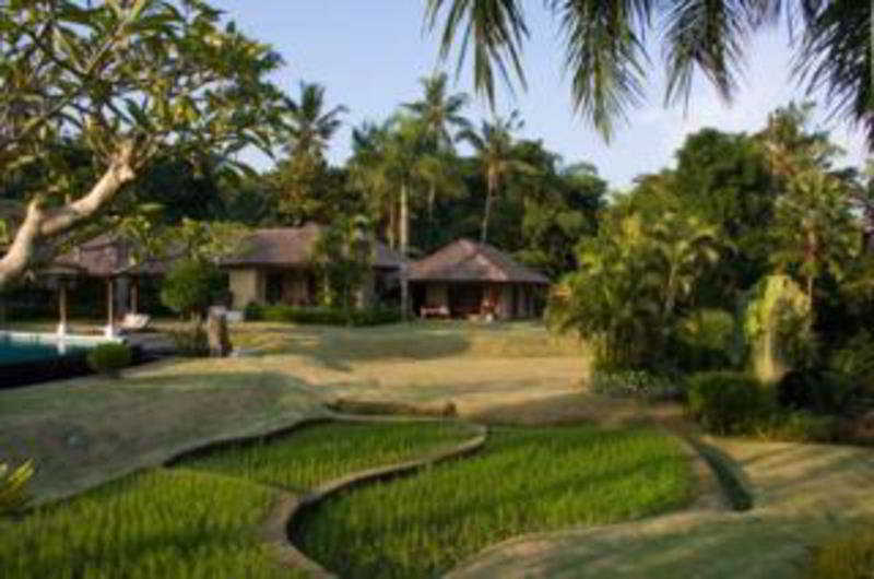 The Lotus Residence