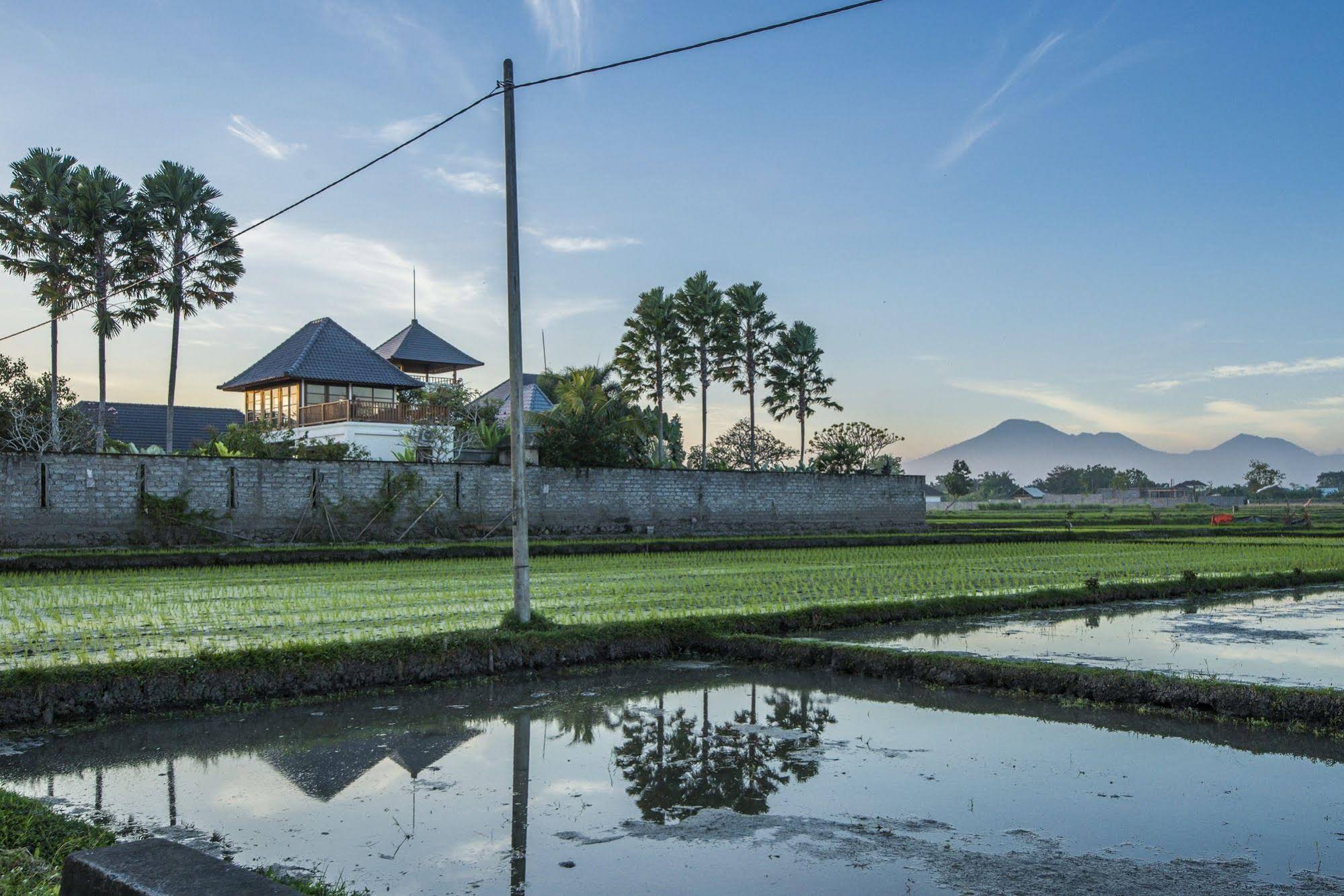 Villa Ayo