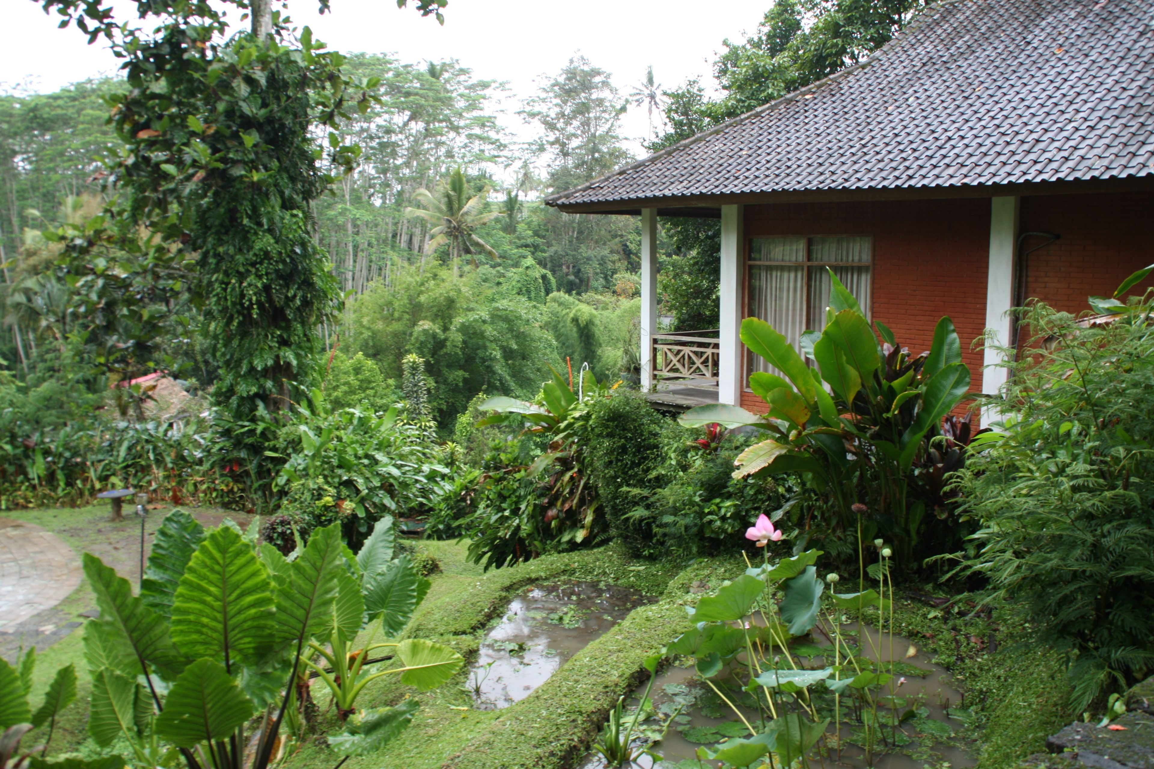 Yeh Panes Resort