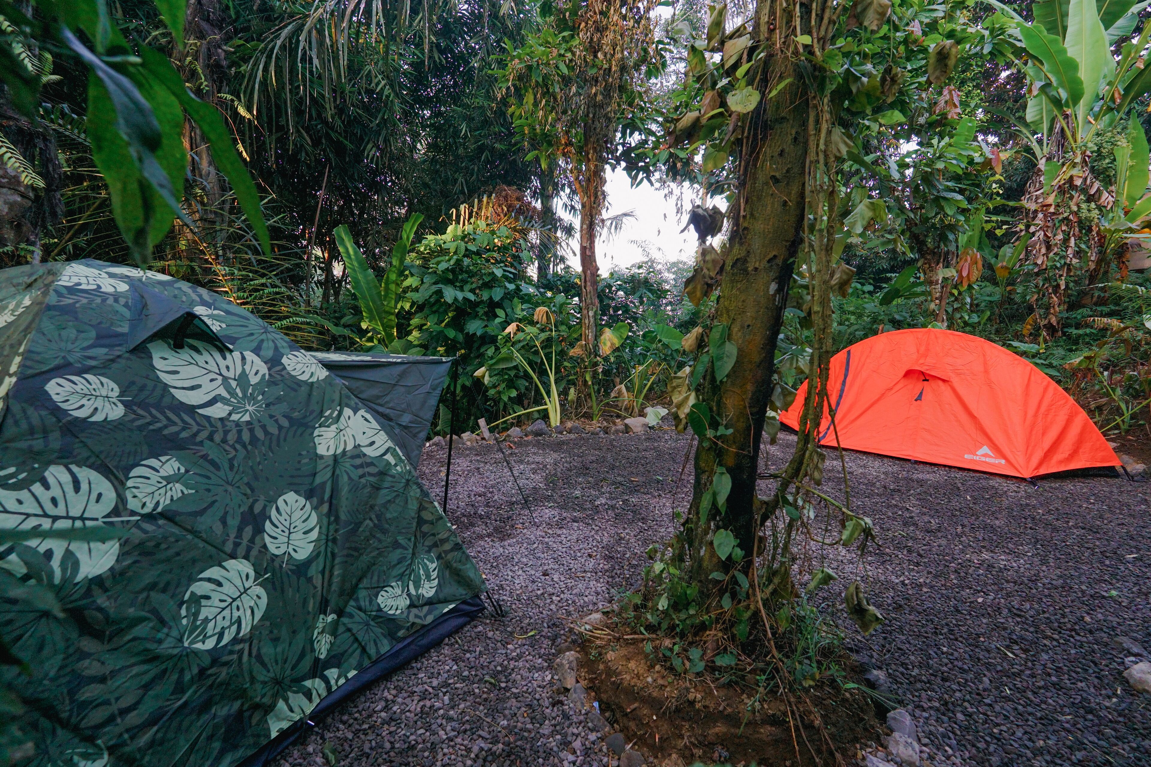 Daydream Lodge