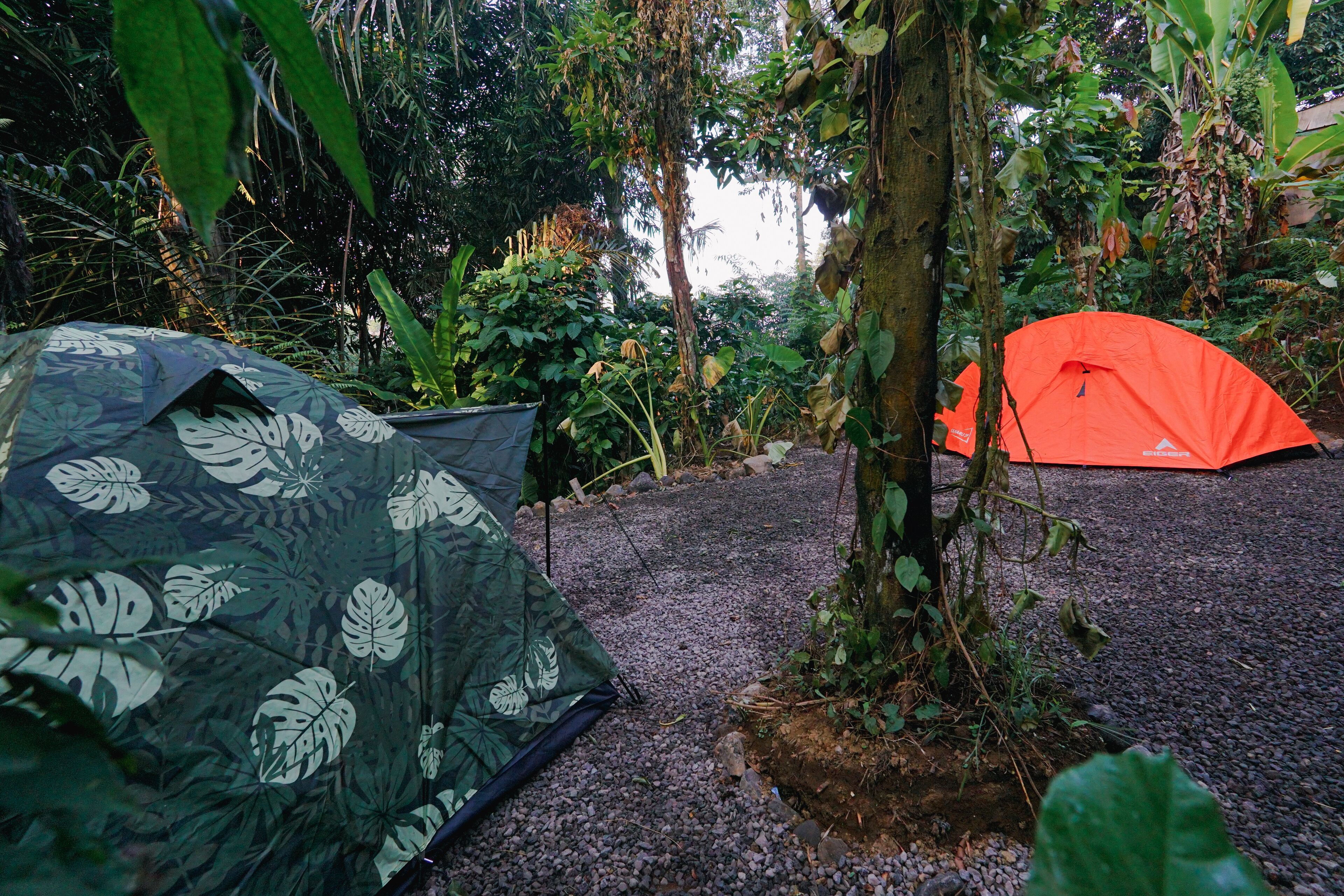Daydream Lodge