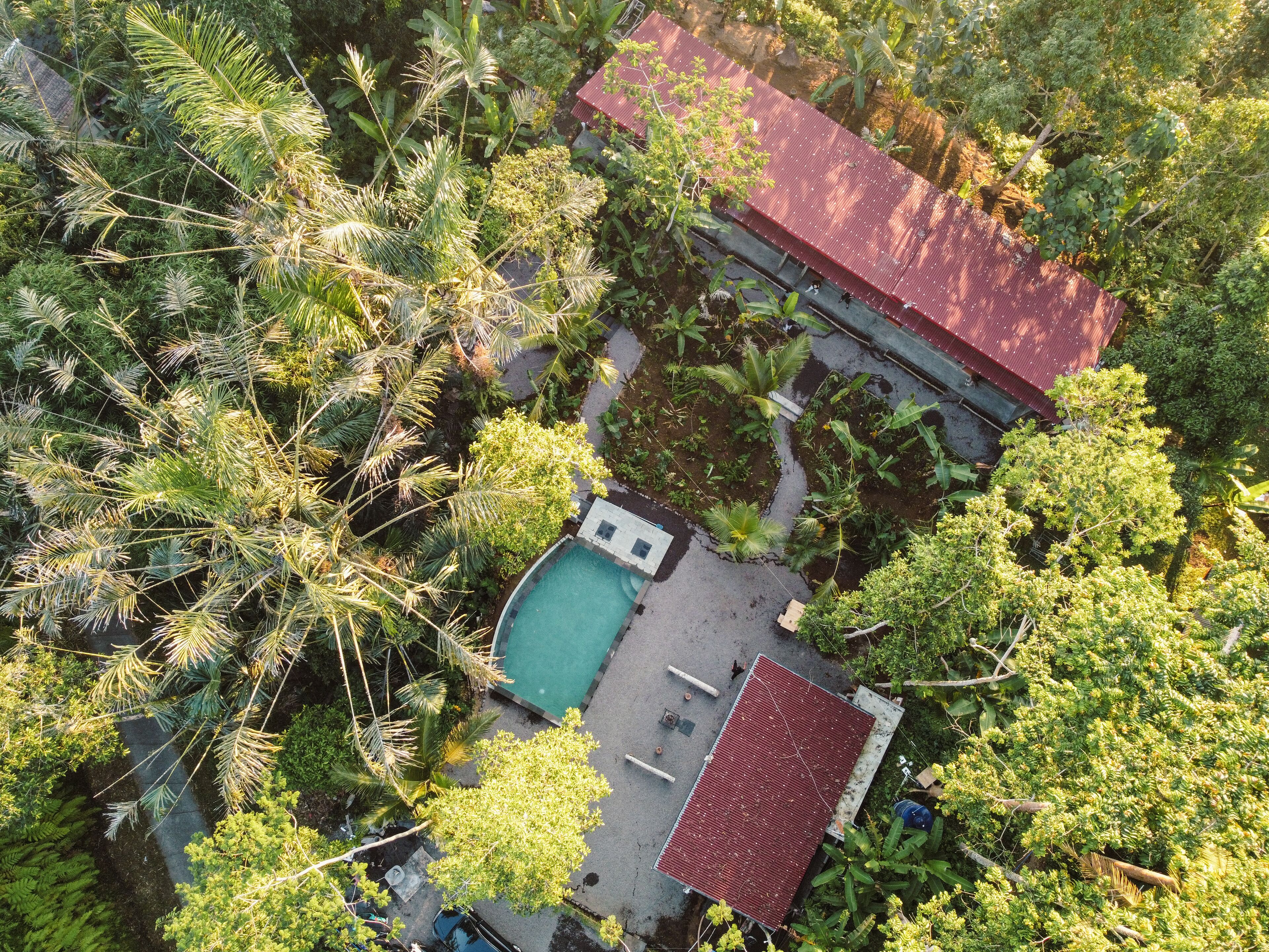 Daydream Lodge