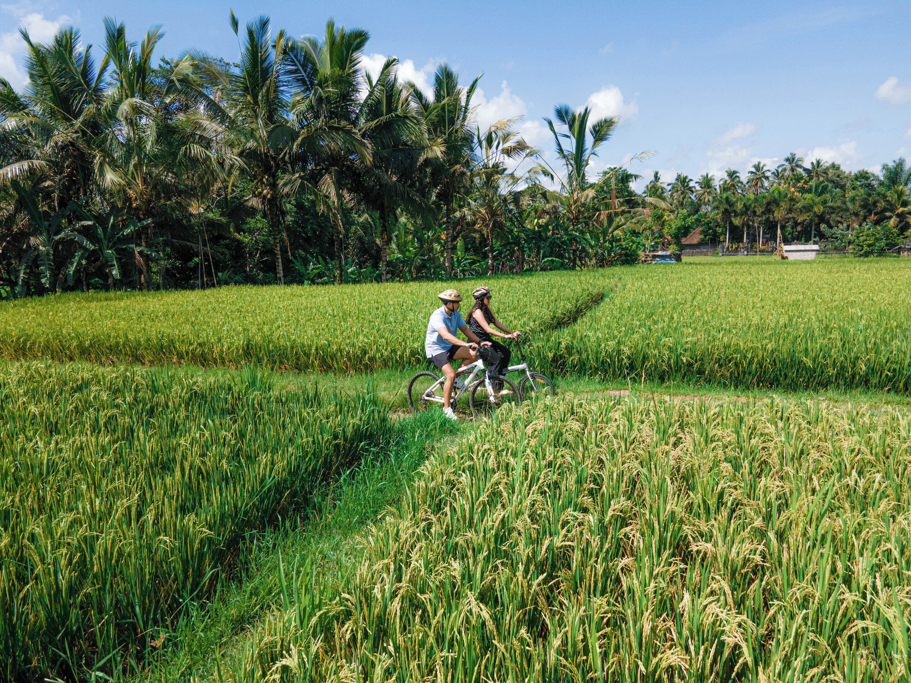 Uma Linggah Resort