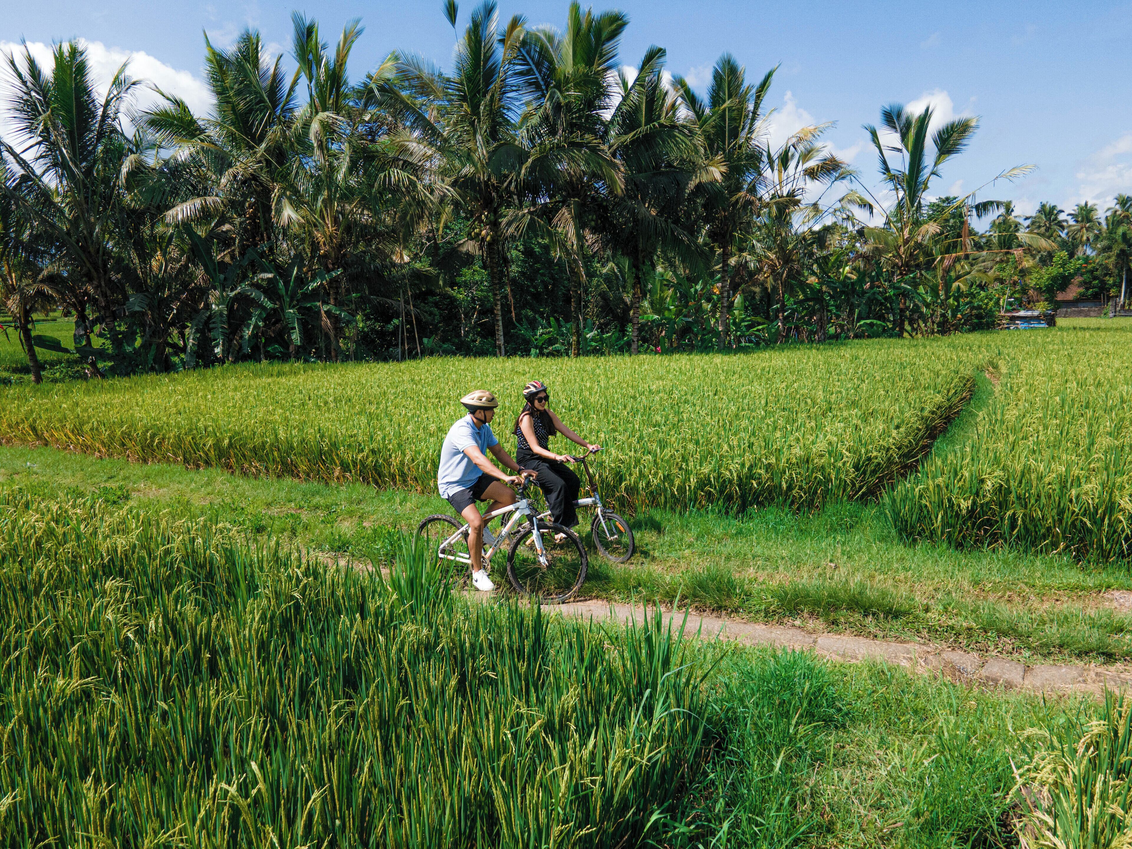 Uma Linggah Resort