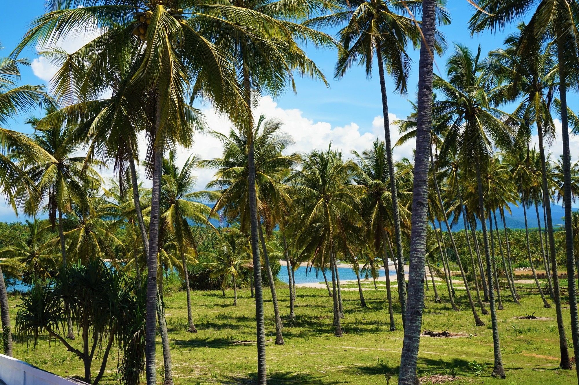 Anema Resort Gili Lombok