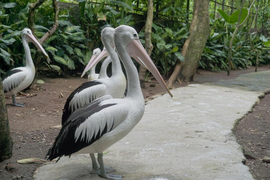 Shibui Garden Bungalows and Restaurant