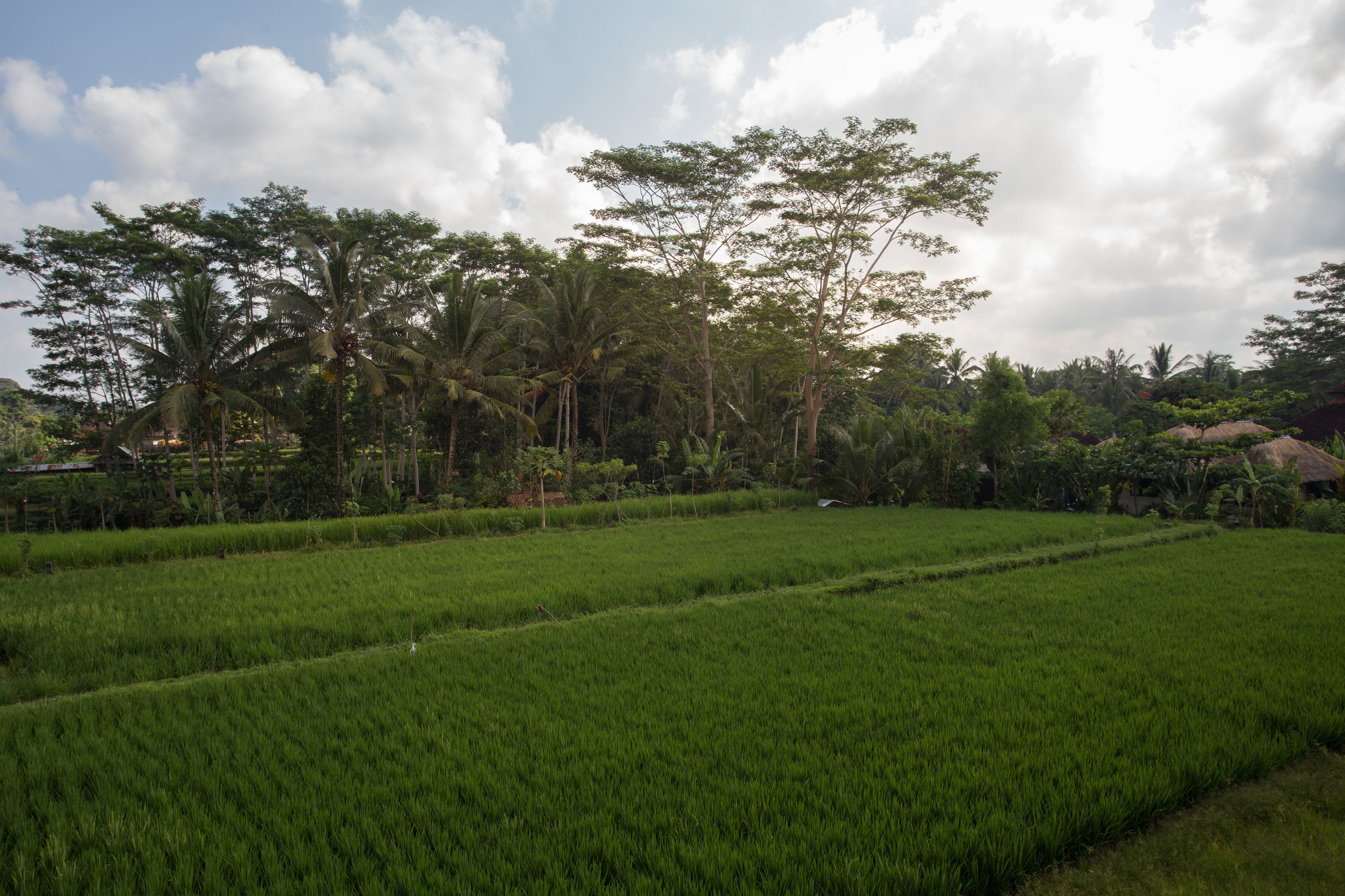 Alosta Luxury Private Villa