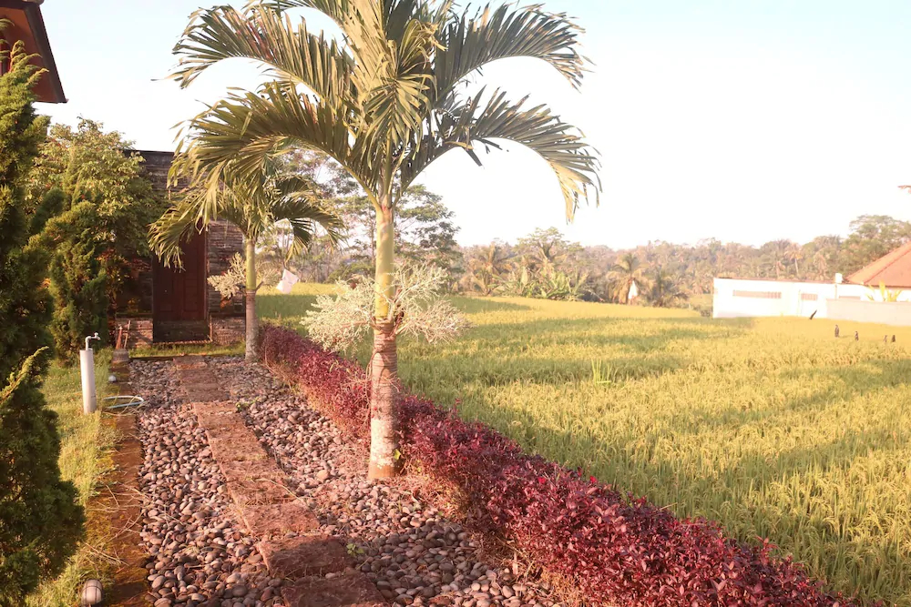 Barong Bali Villas