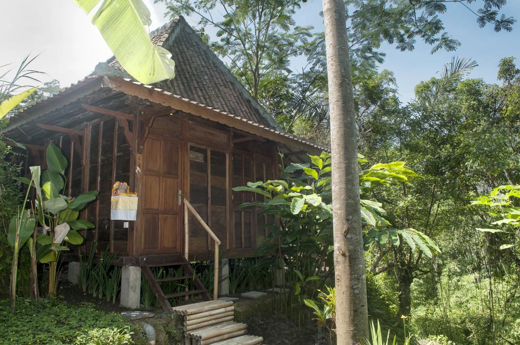 DD Ubud Villa