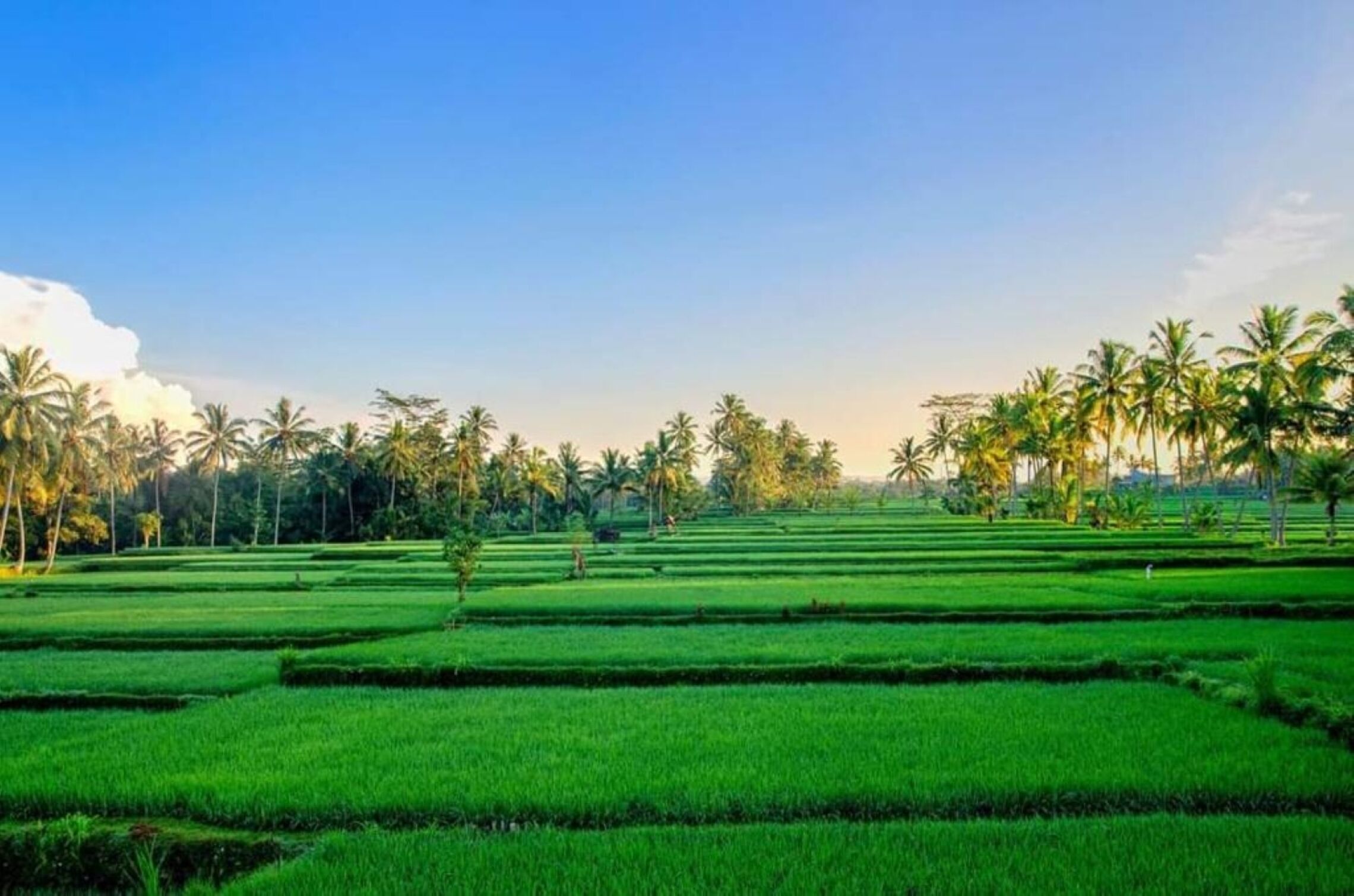 Intan Villa & Suite Ubud
