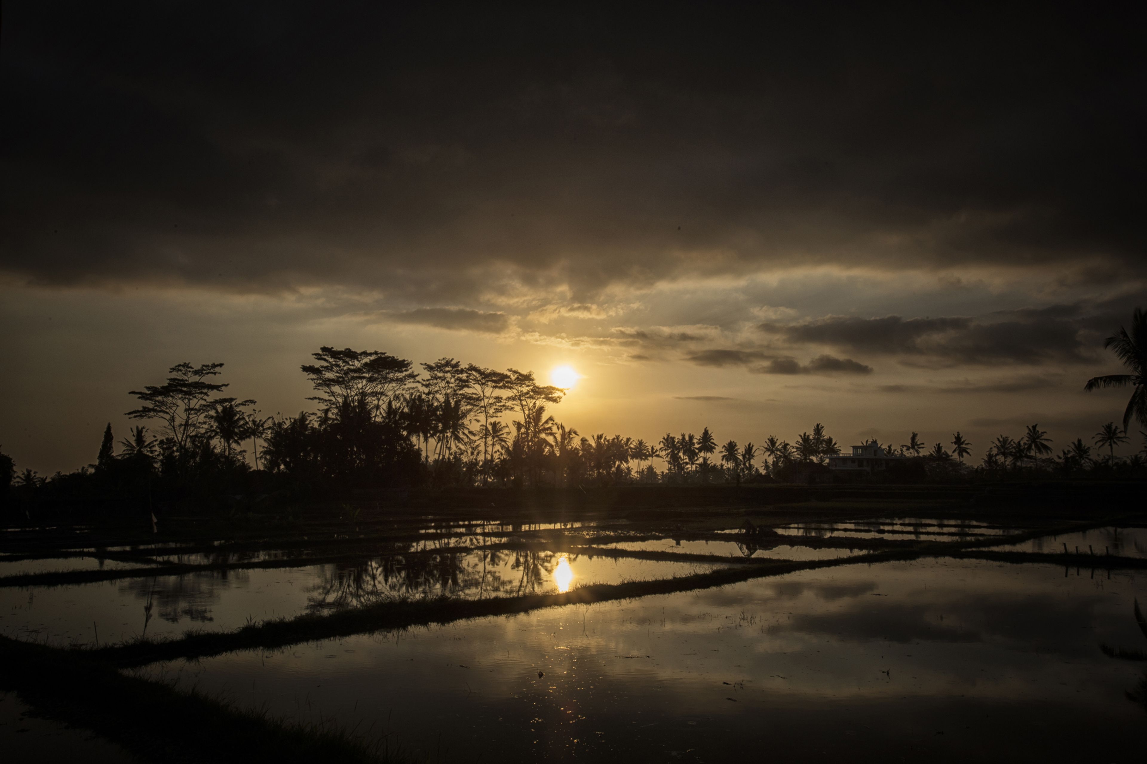 Kabinawa Ubud Villas and Cafe