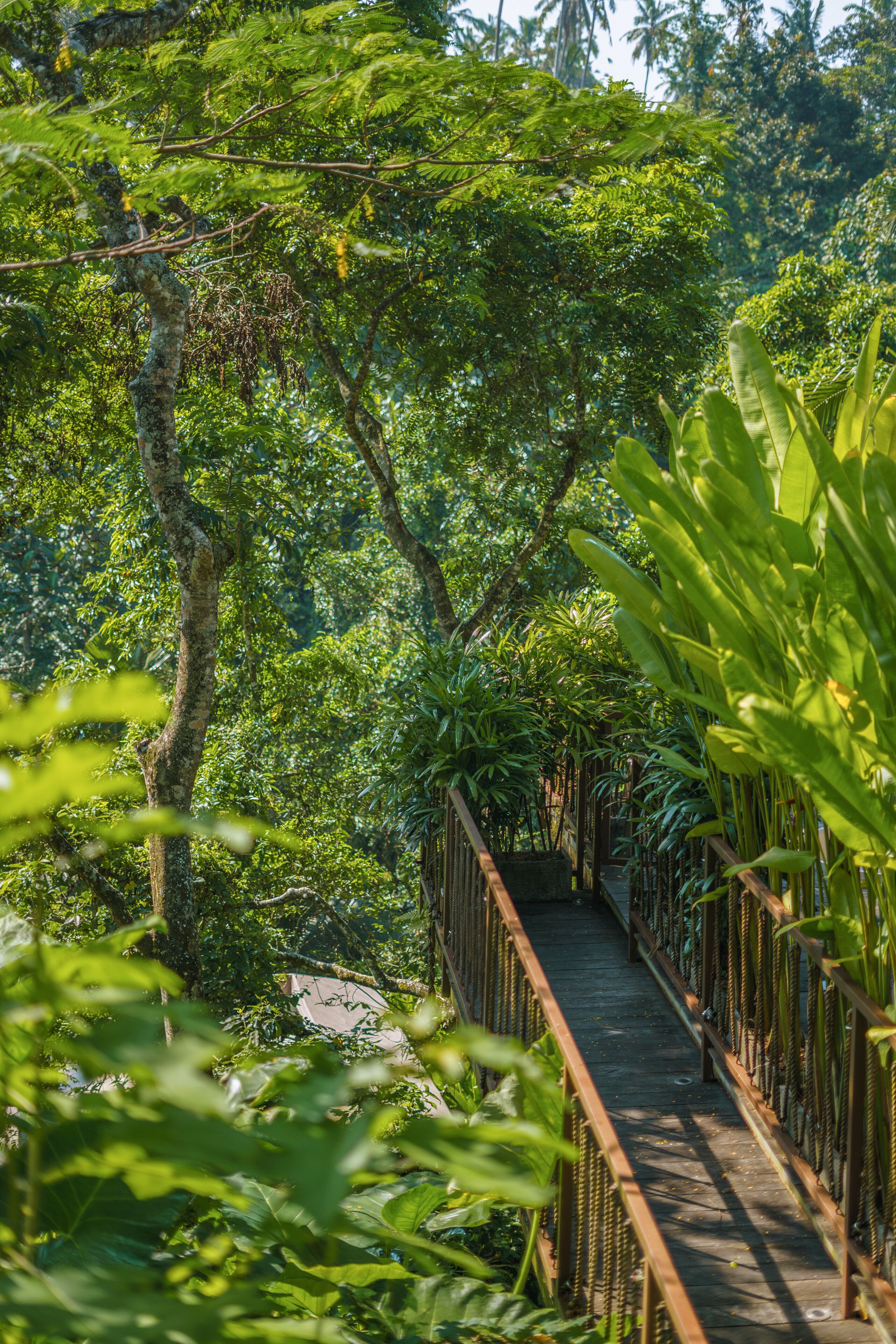 Kanva Luxury Glamping Resort