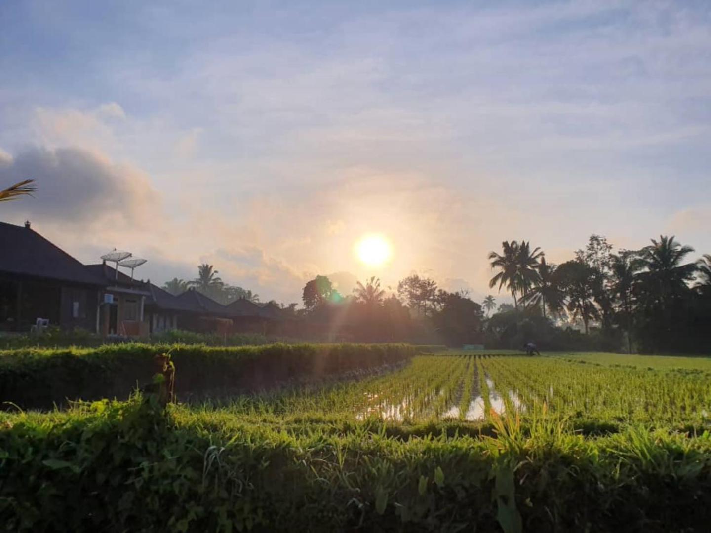 Kayangan Villa Ubud