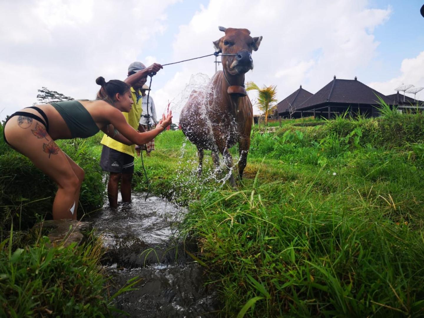Kayangan Villa Ubud