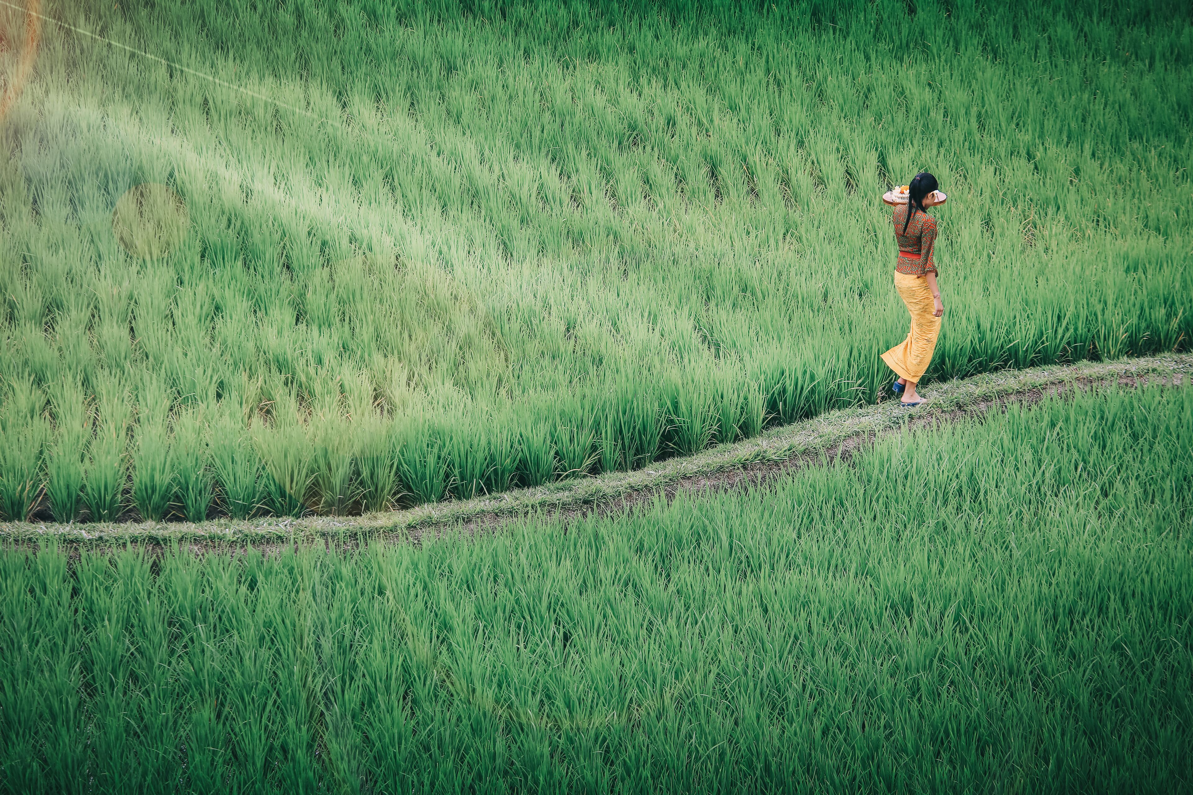 Kuwarasan a Pramana Experience