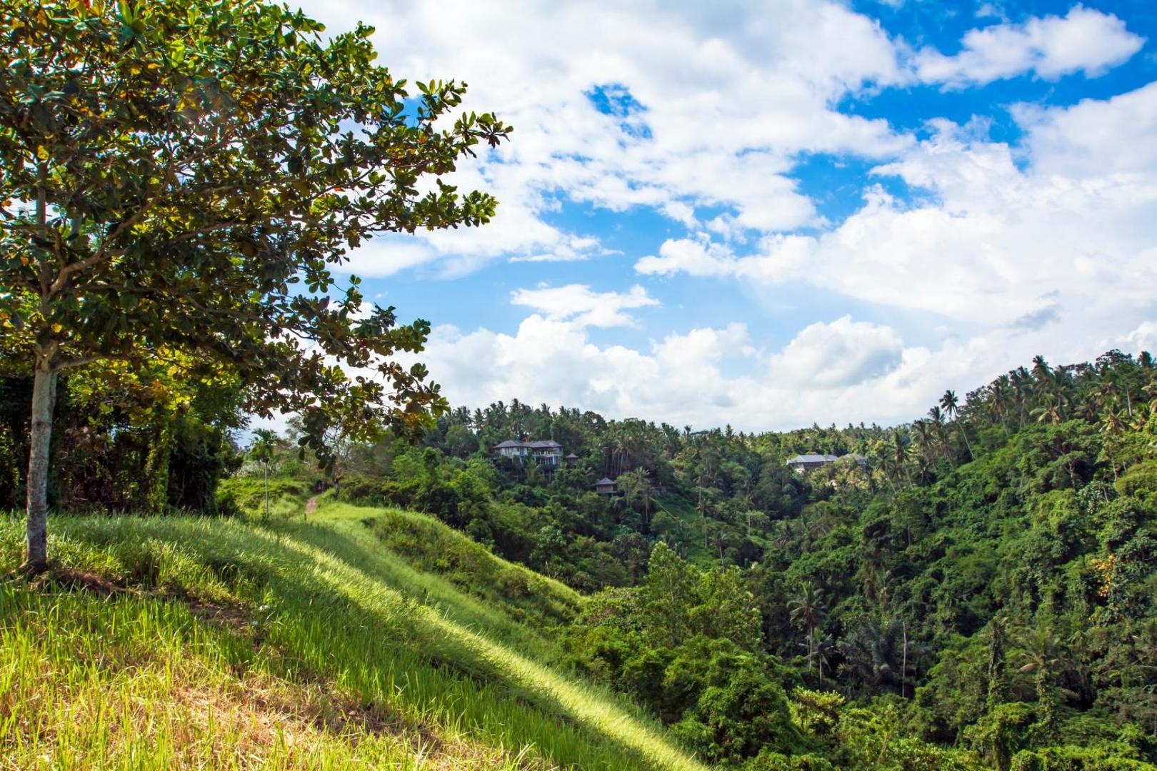 The Lokha Ubud