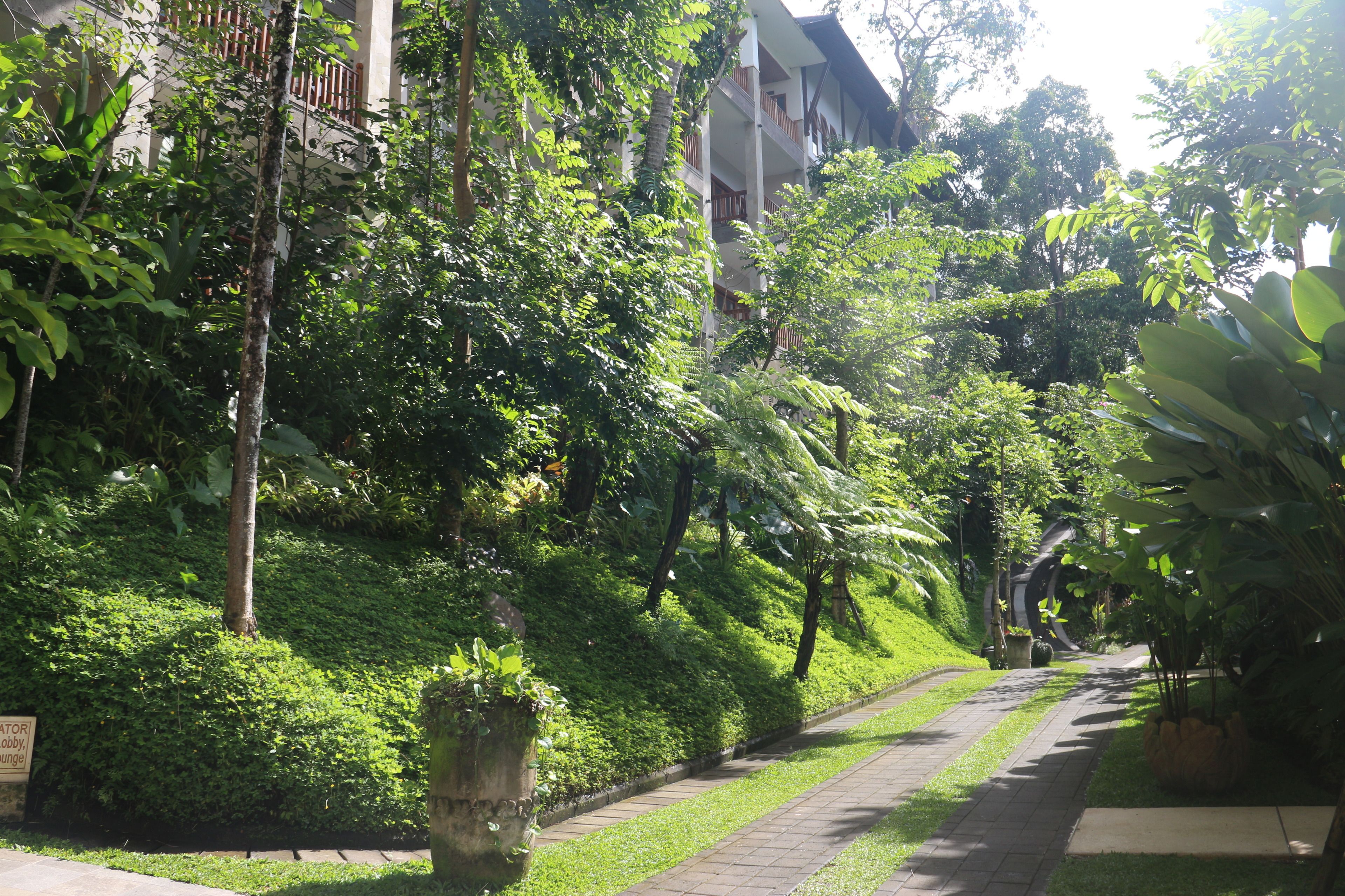 The Lokha Ubud
