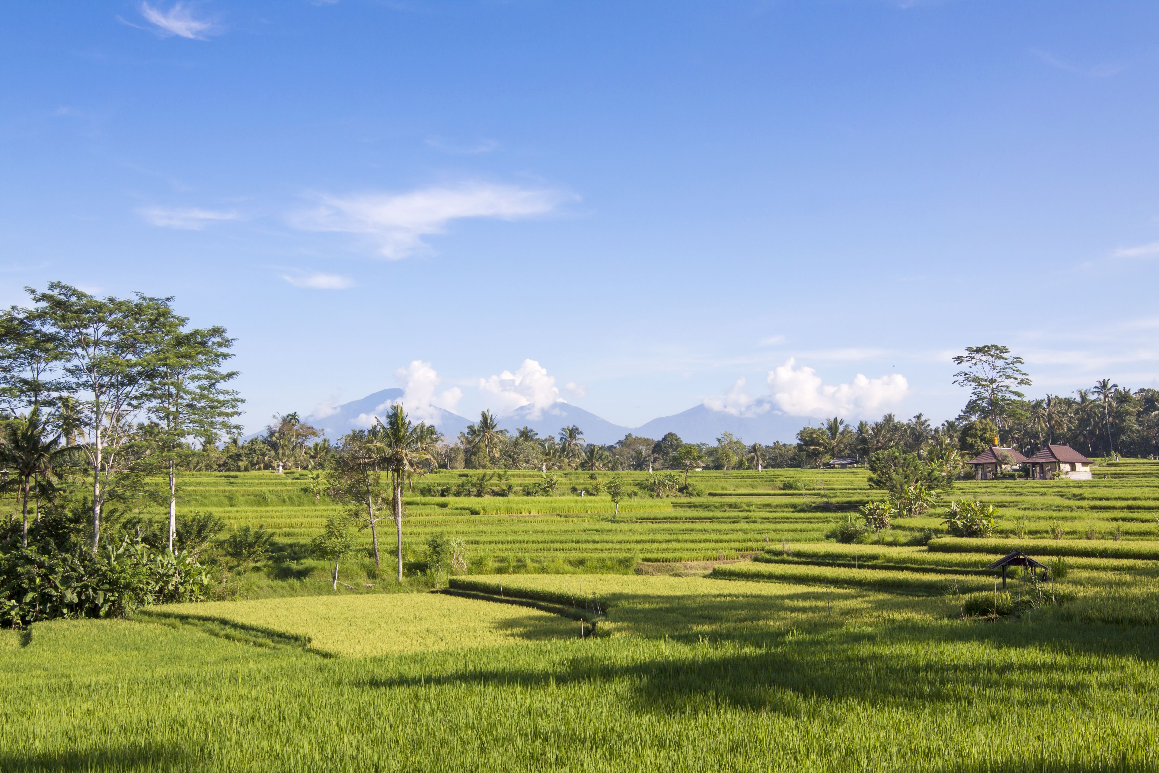 The Lokha Ubud