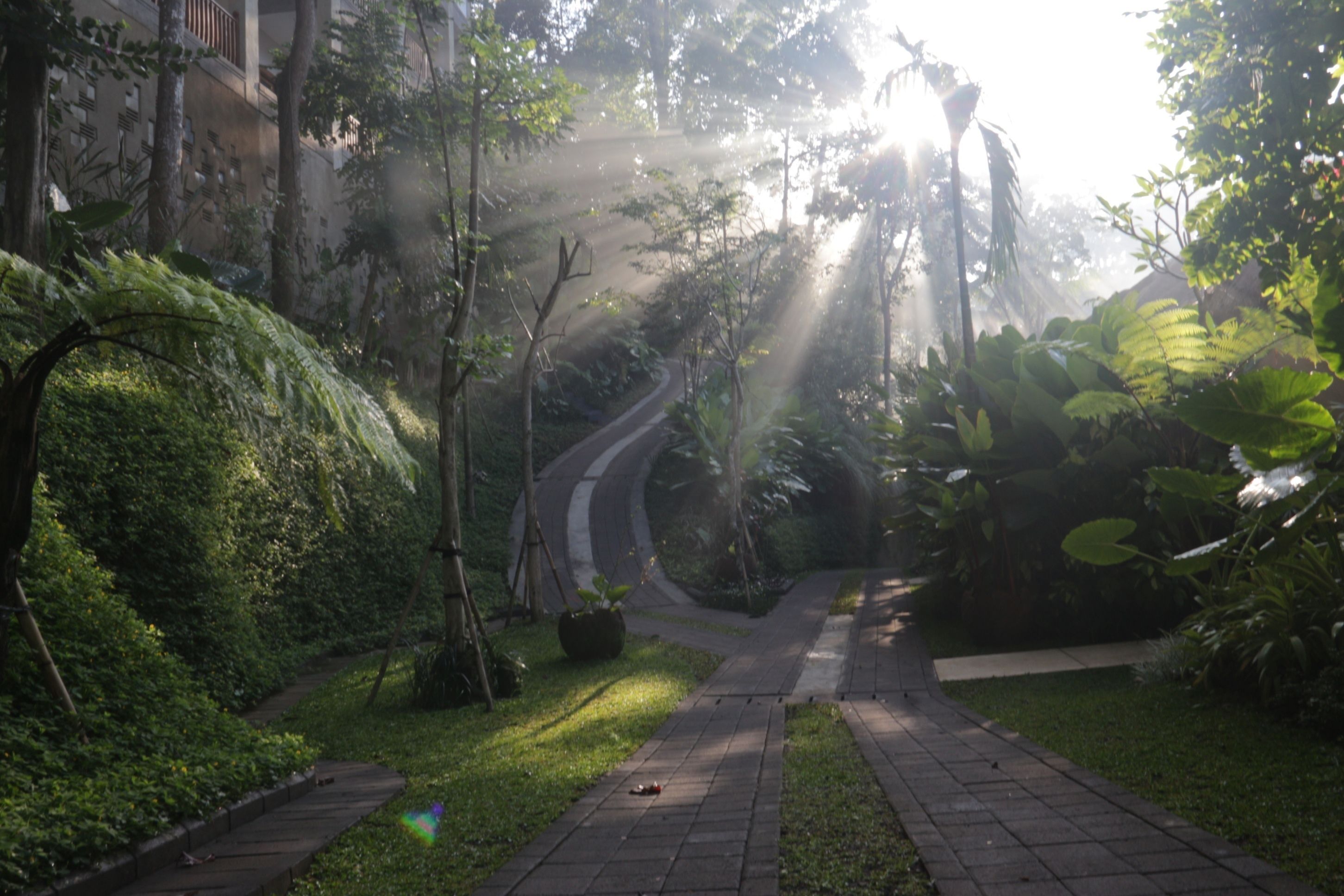 The Lokha Ubud