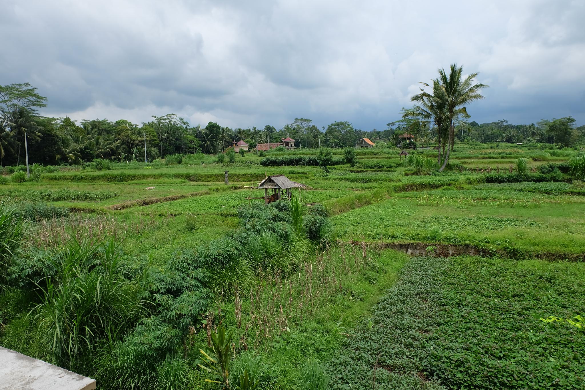 The Rana Villa