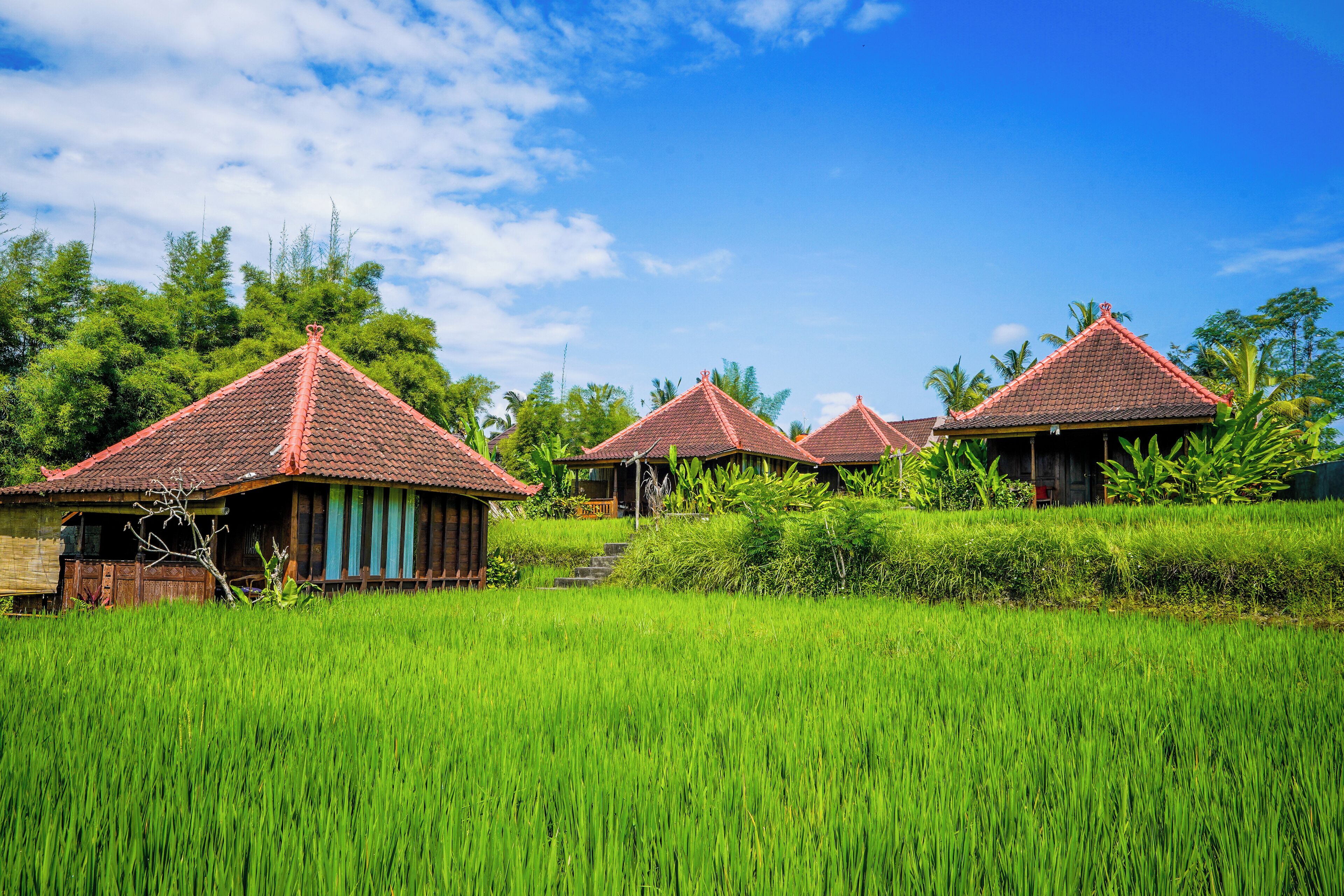 Ubud Sawah Scenery Villa and Homestay