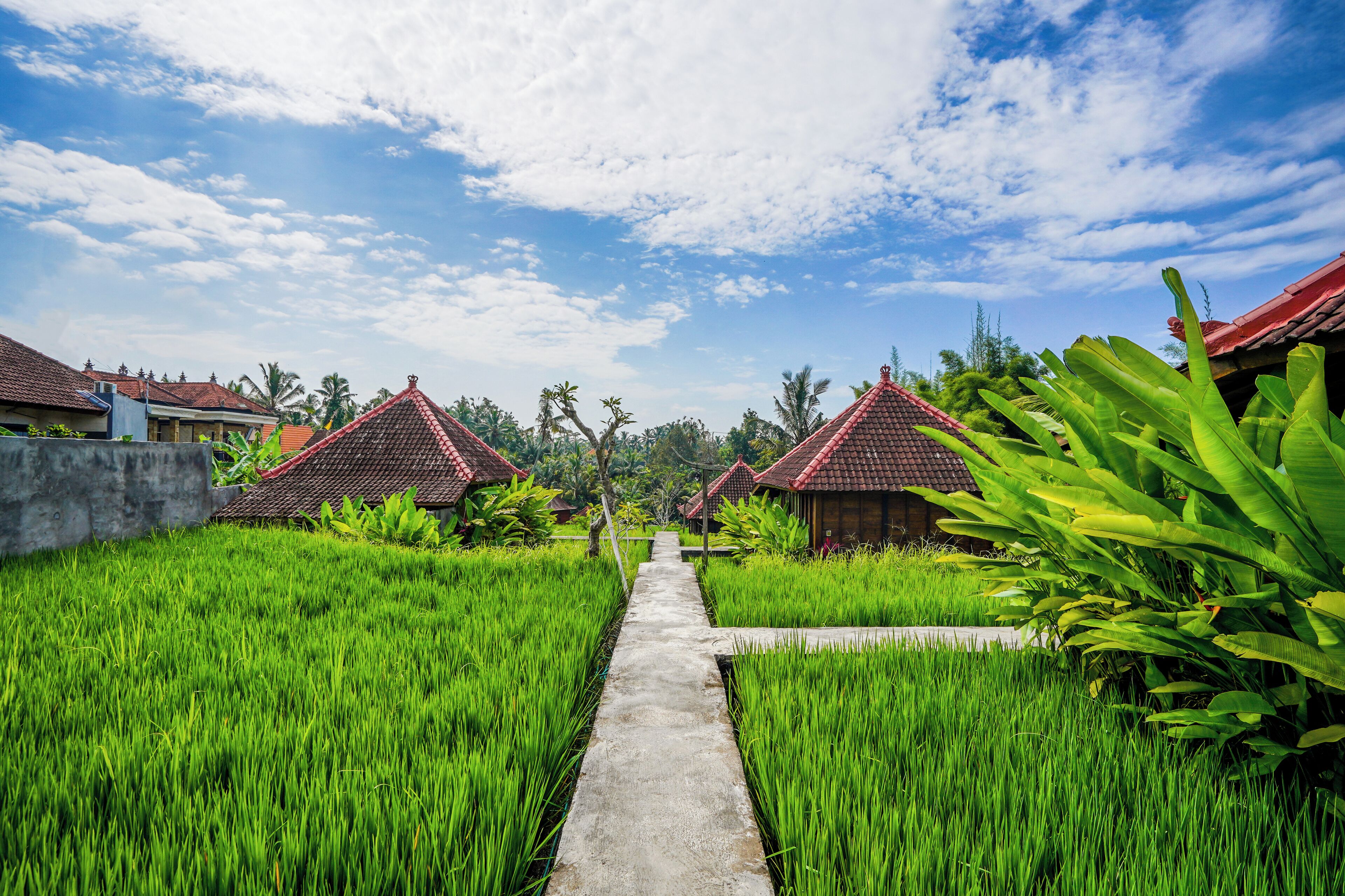 Ubud Sawah Scenery Villa and Homestay